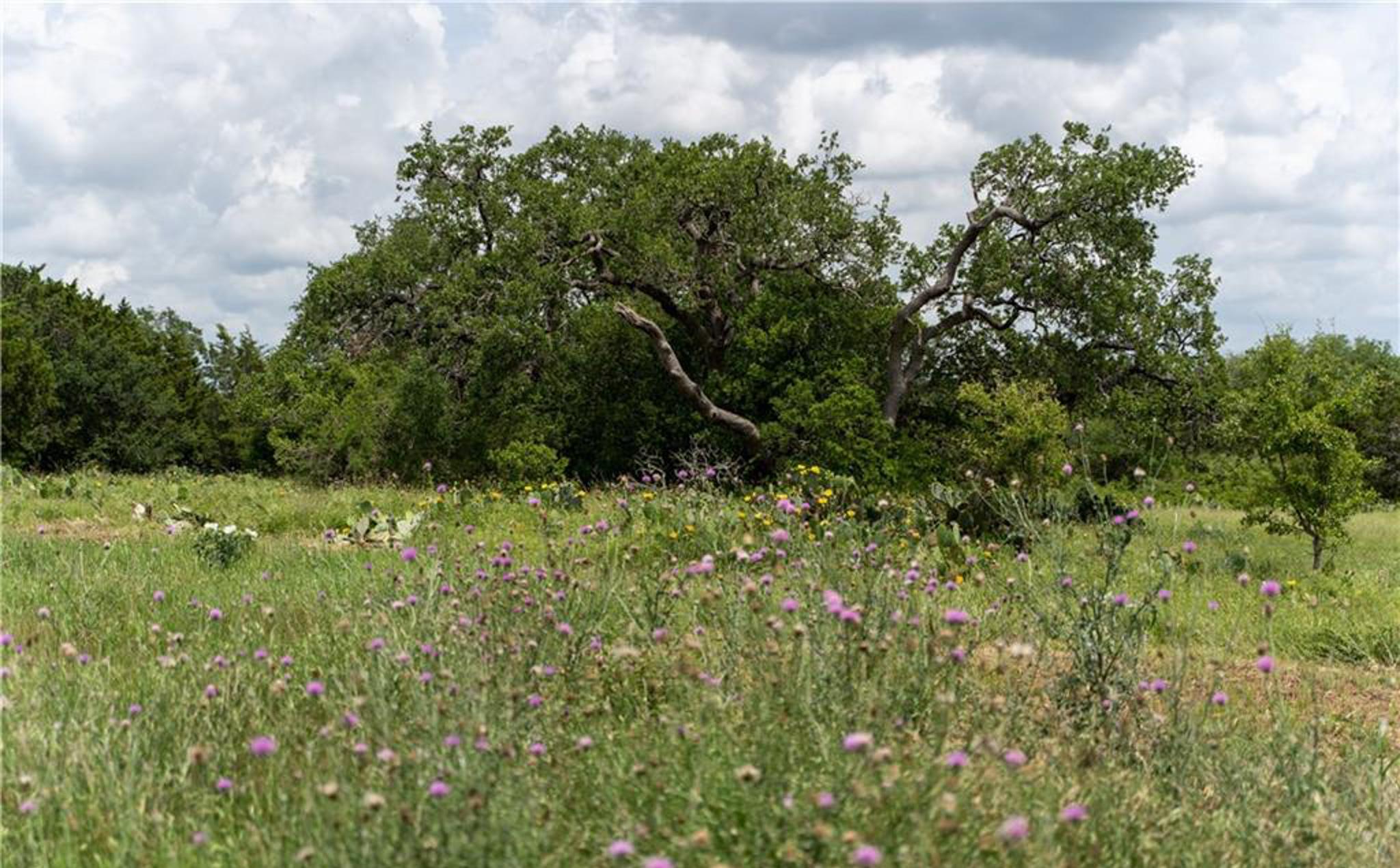 12323 Crows Ranch Rd, Salado, TX 76571