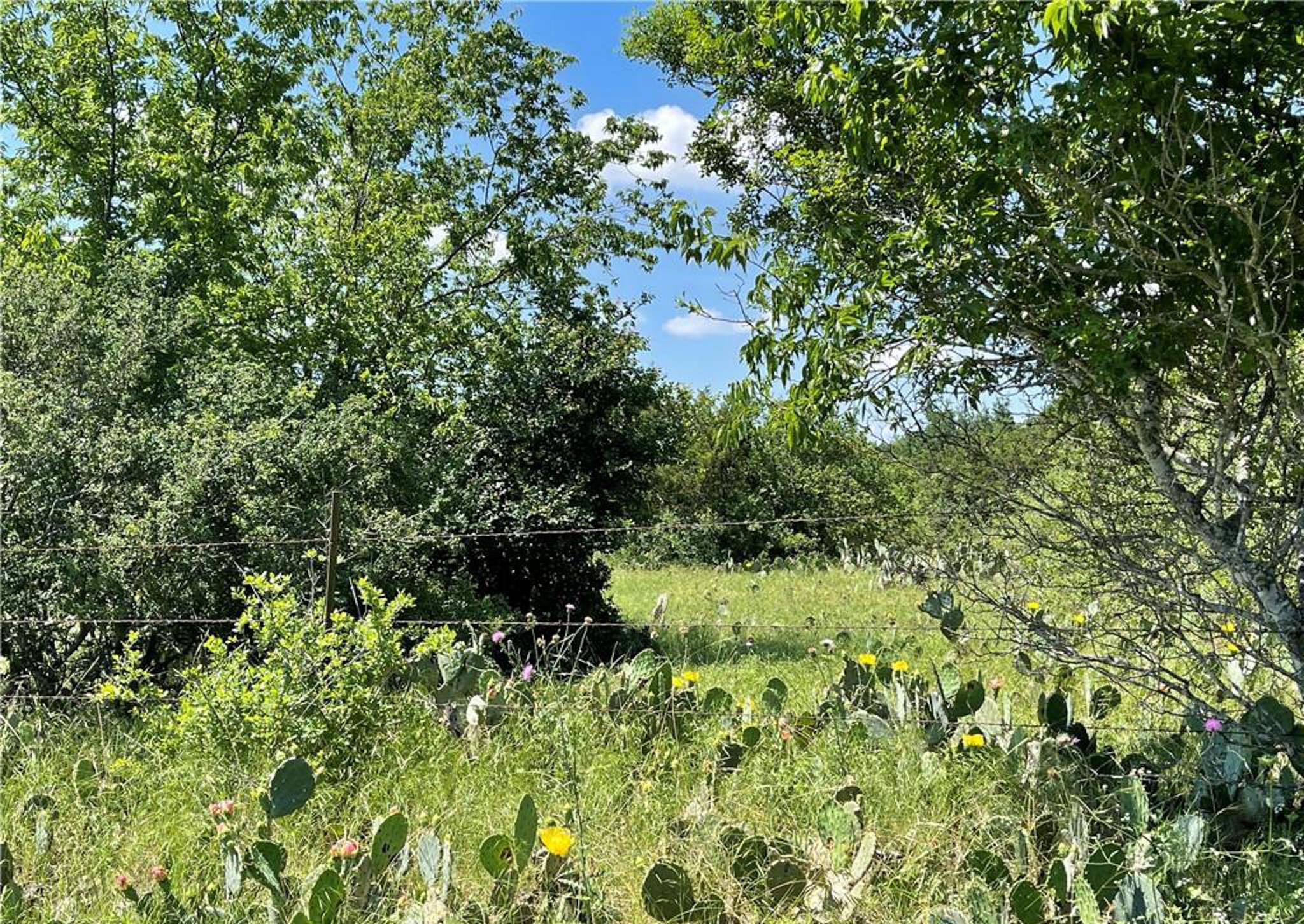 12323 Crows Ranch Rd, Salado, TX 76571