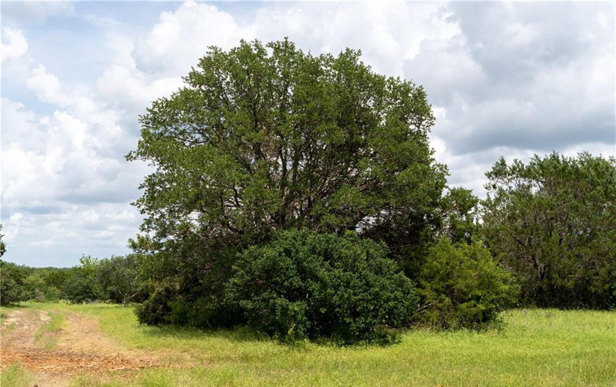 12323 Crows Ranch Rd, Salado, TX 76571