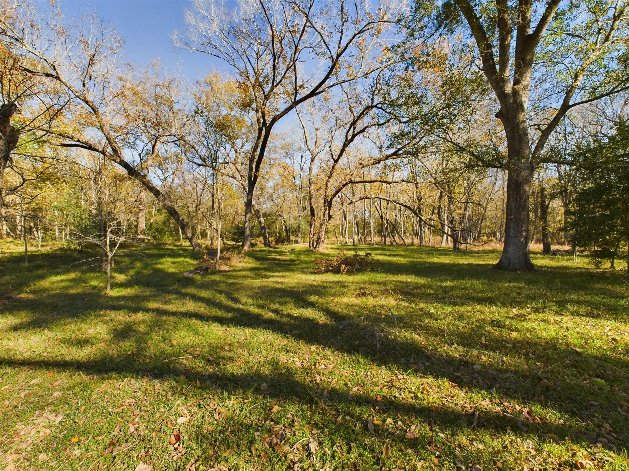 569 N Berry Ridge, Caldwell, TX 77836