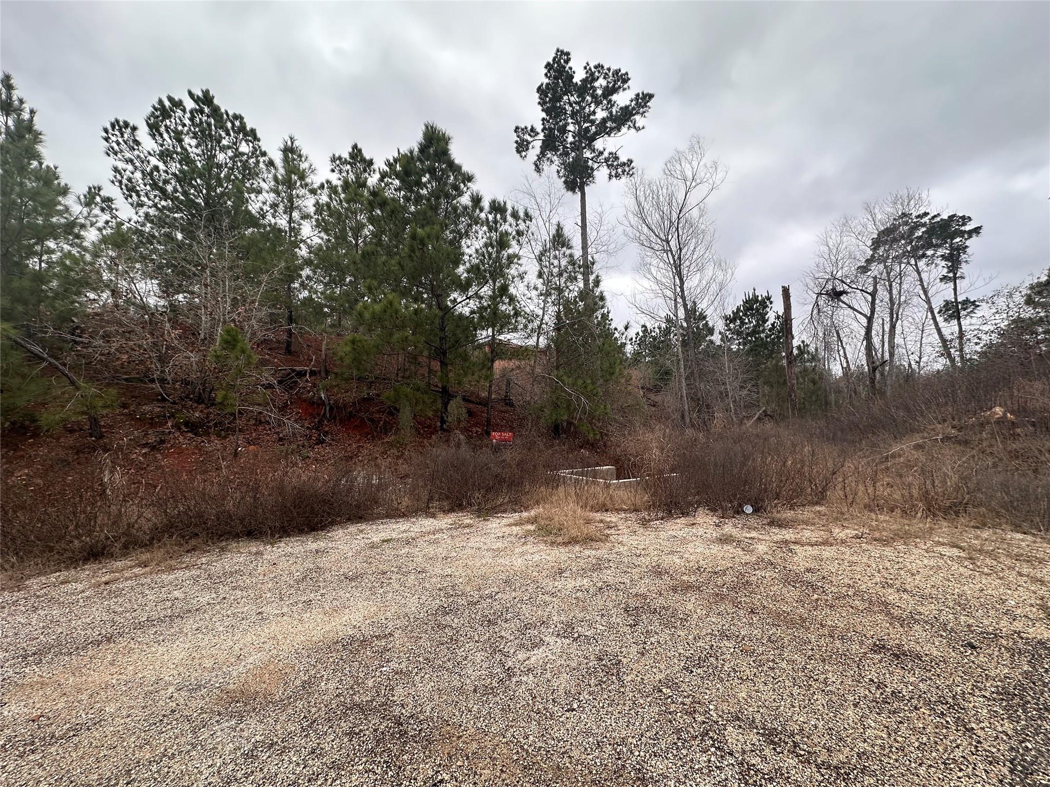 LOT 178 / R32255 Keo Kea Ct, Bastrop, TX 78602