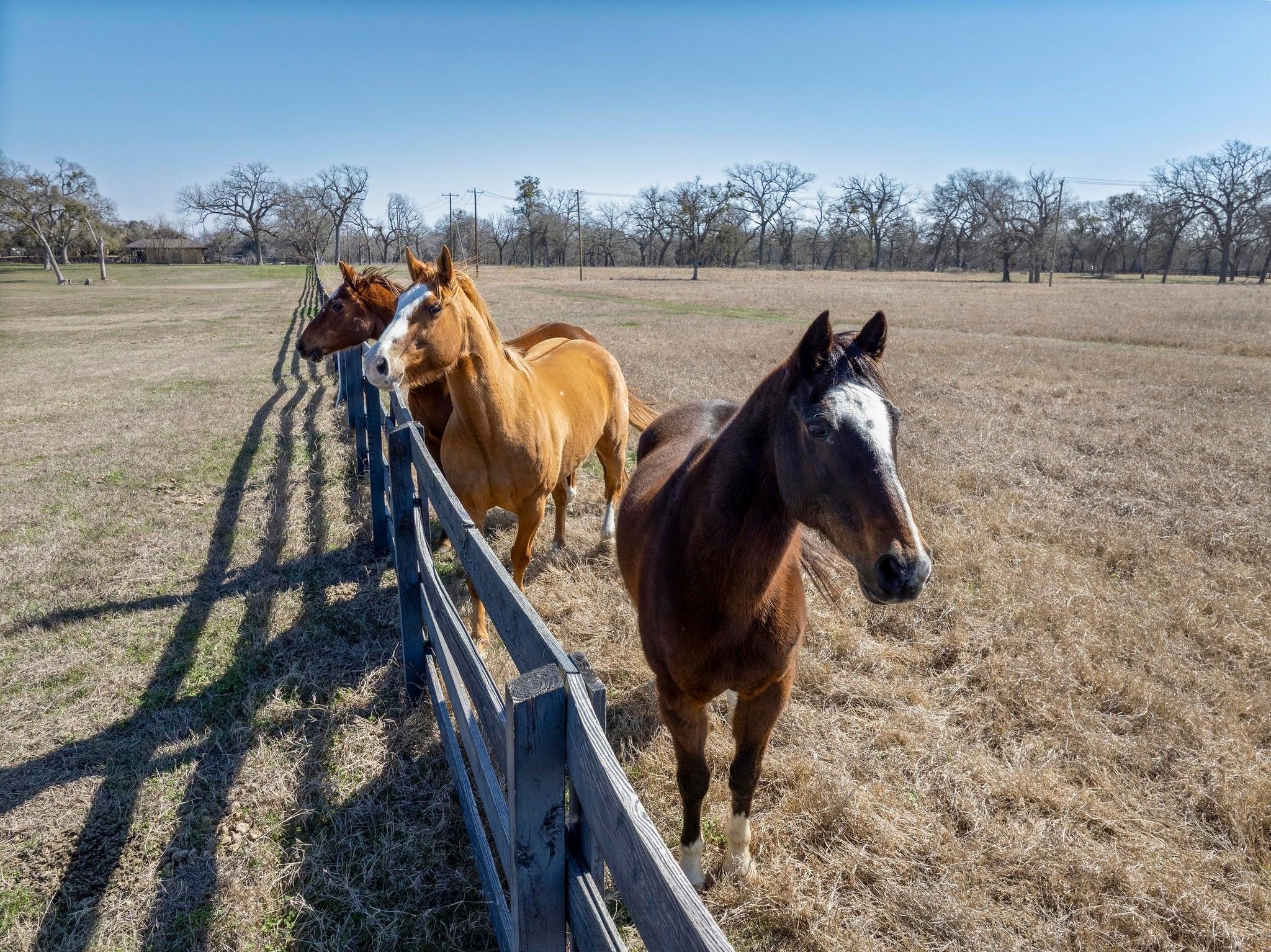 105 River Valley Dr, Georgetown, TX 78626