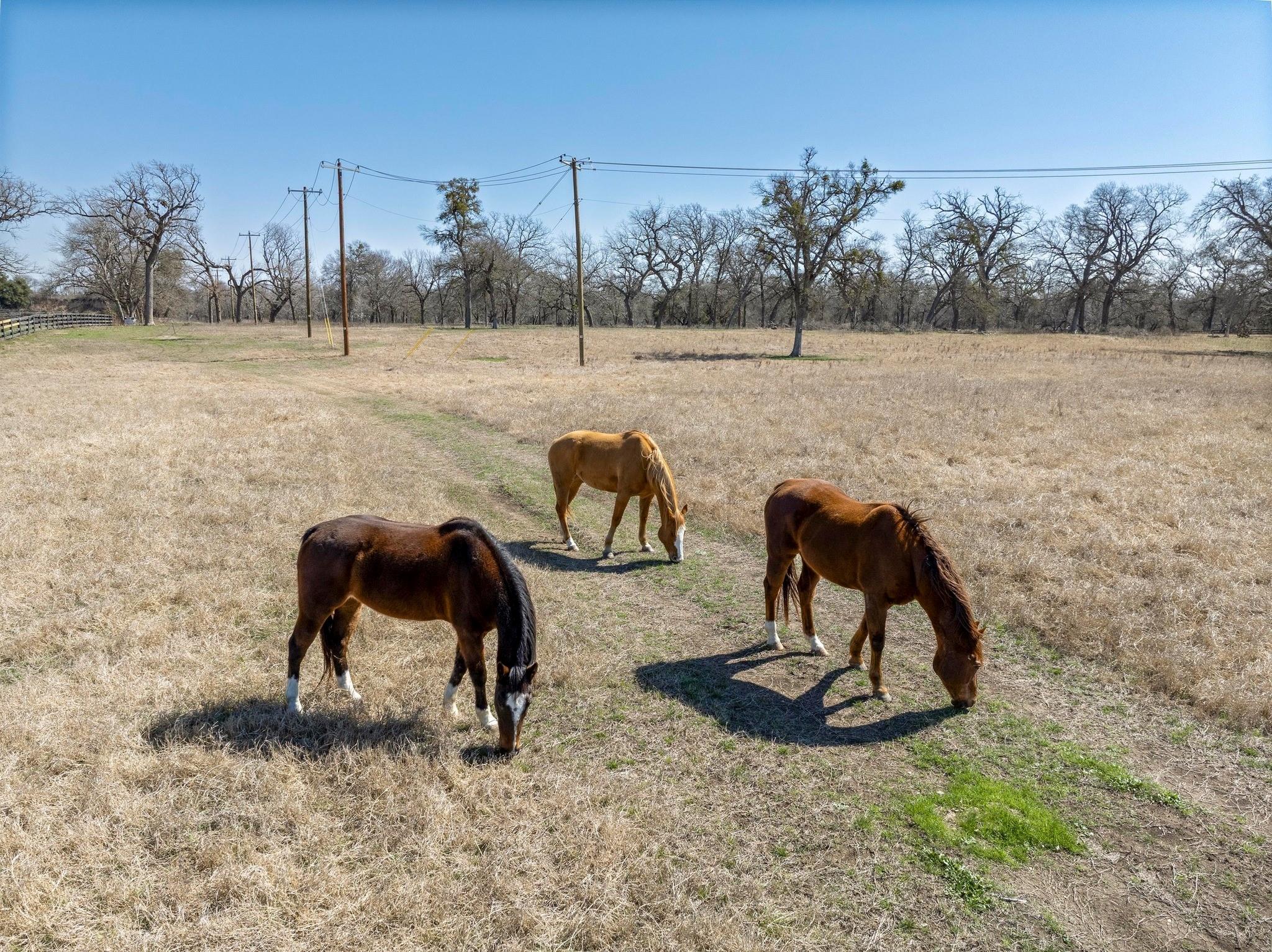 105 River Valley Dr, Georgetown, TX 78626