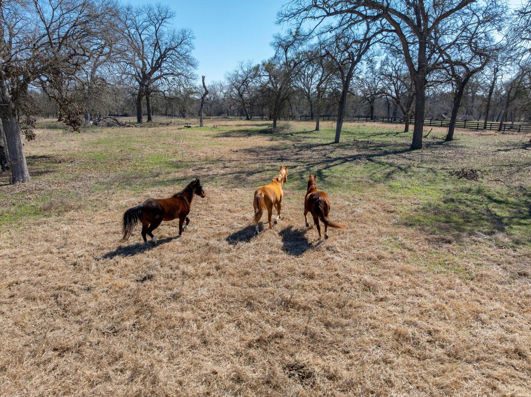105 River Valley Dr, Georgetown, TX 78626