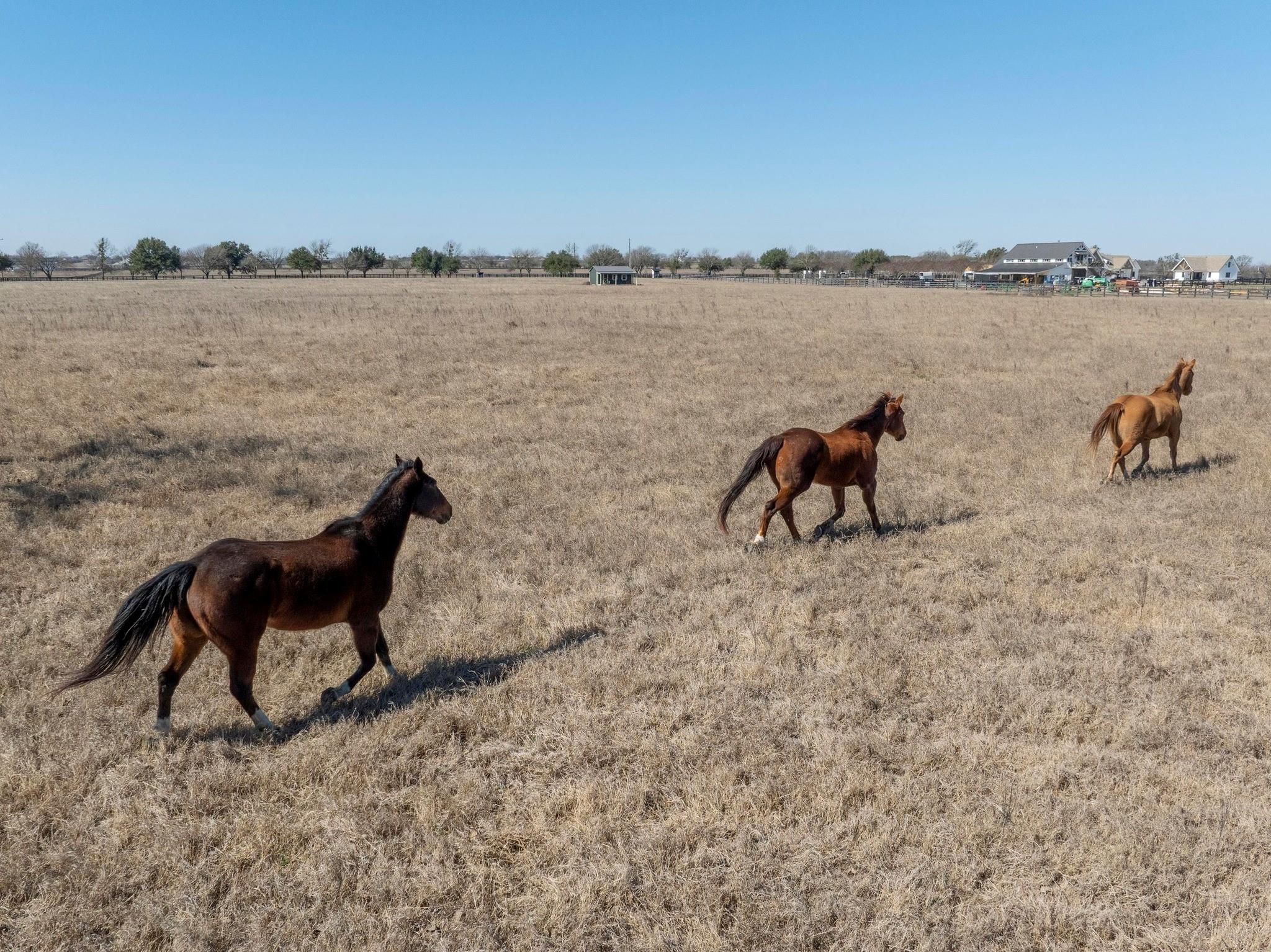 105 River Valley Dr, Georgetown, TX 78626