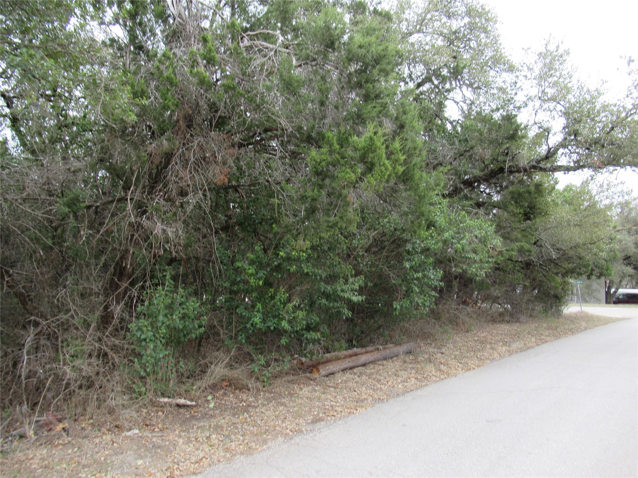 10802 Crestview Dr, Jonestown, TX 78645