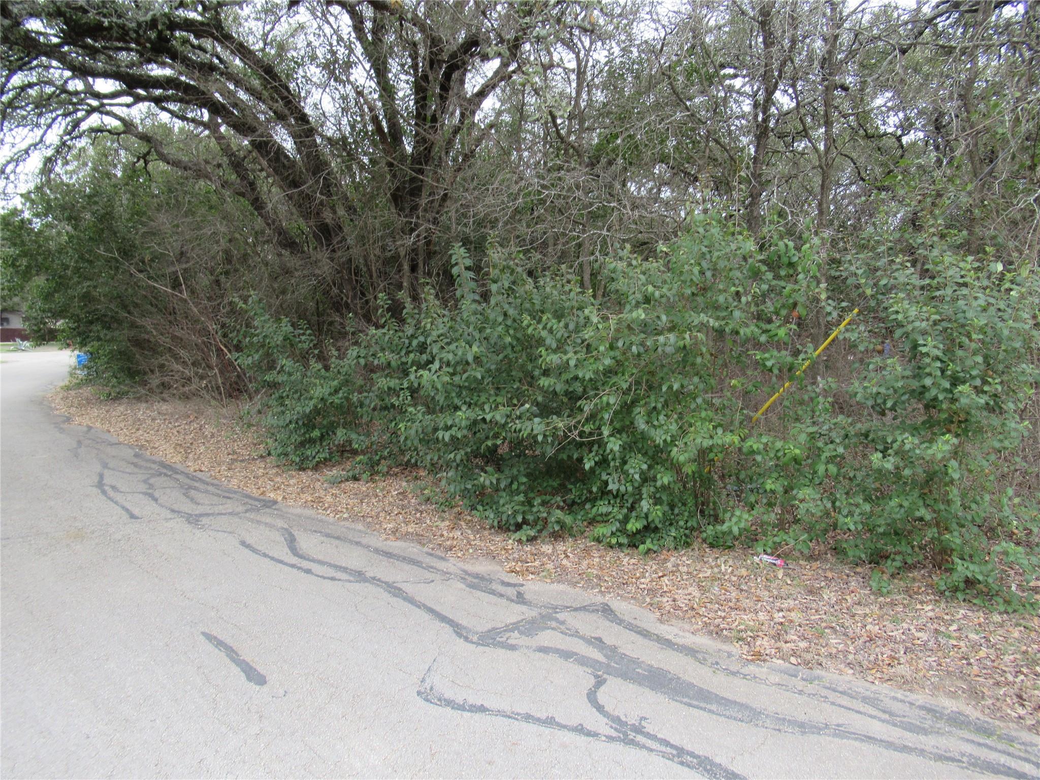 10802 Crestview Dr, Jonestown, TX 78645