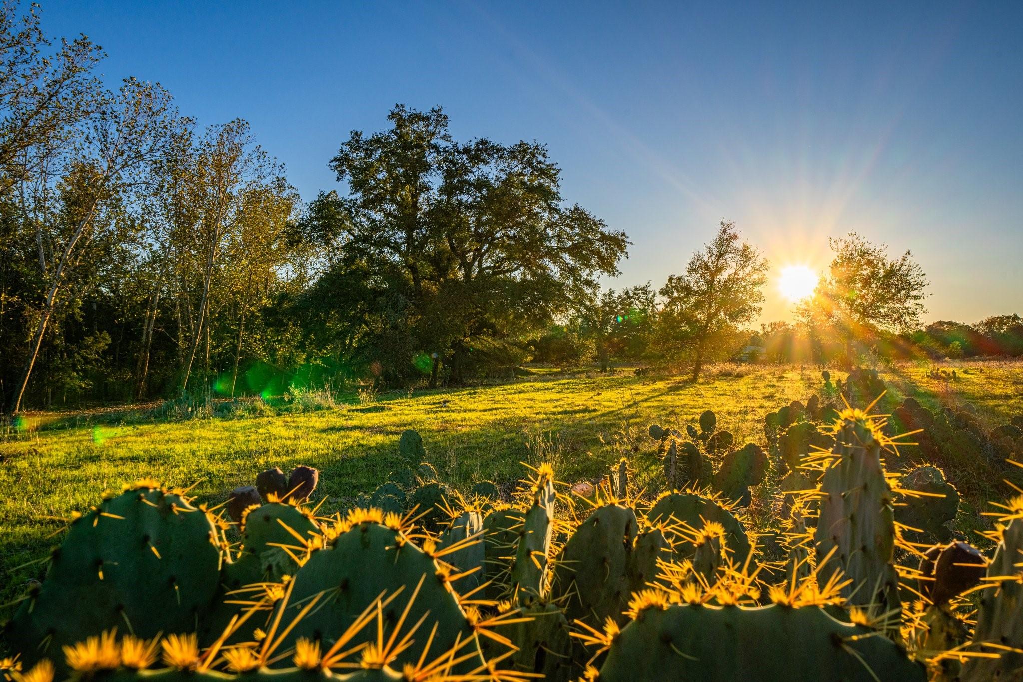 NA FM 2843, Salado, TX 76571