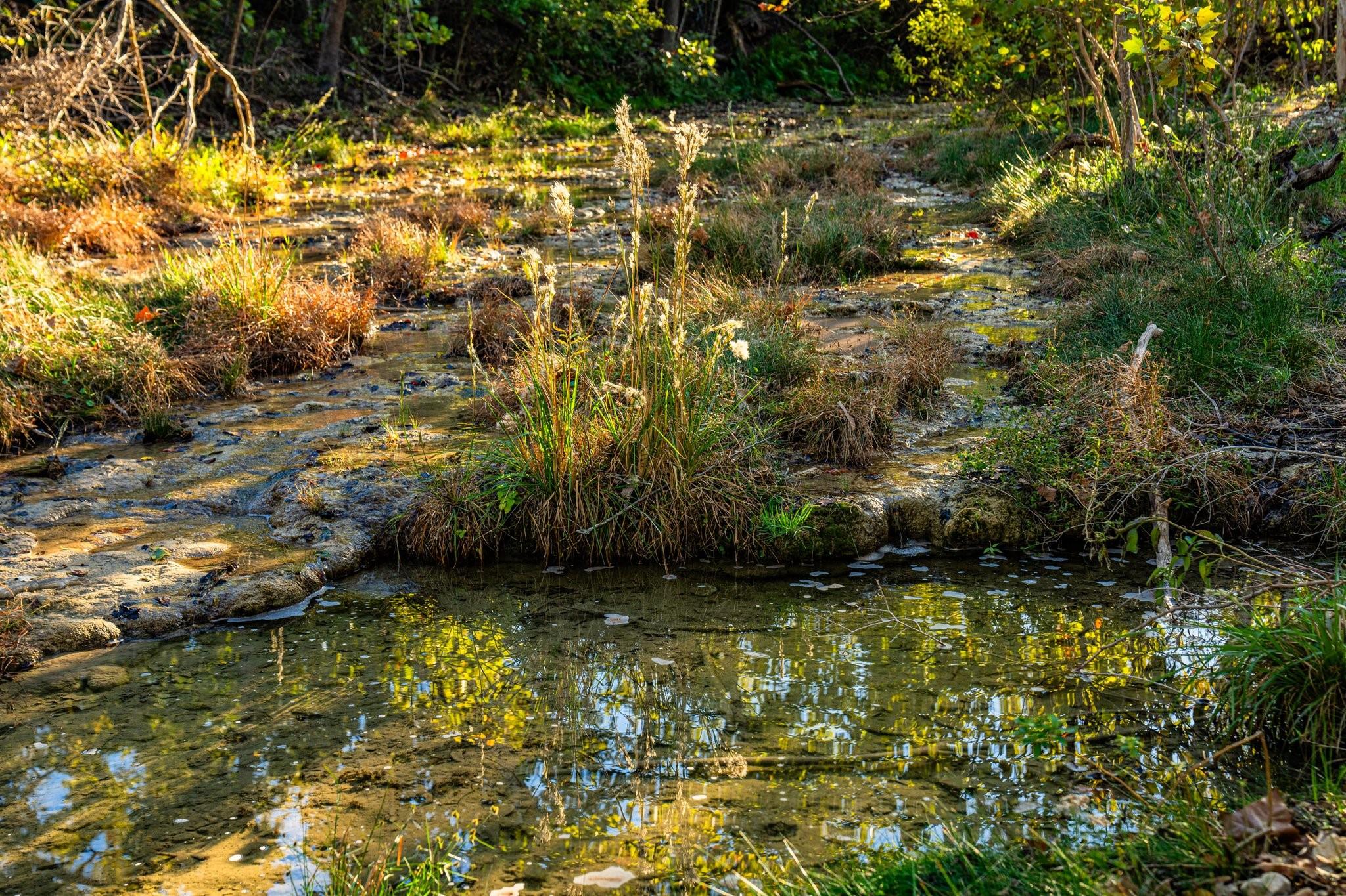 NA FM 2843, Salado, TX 76571