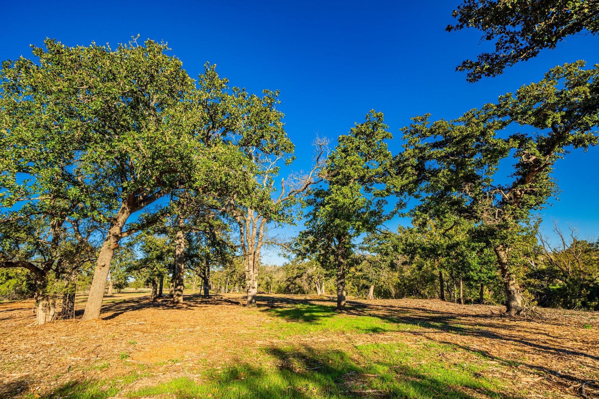 NA FM 2843, Salado, TX 76571