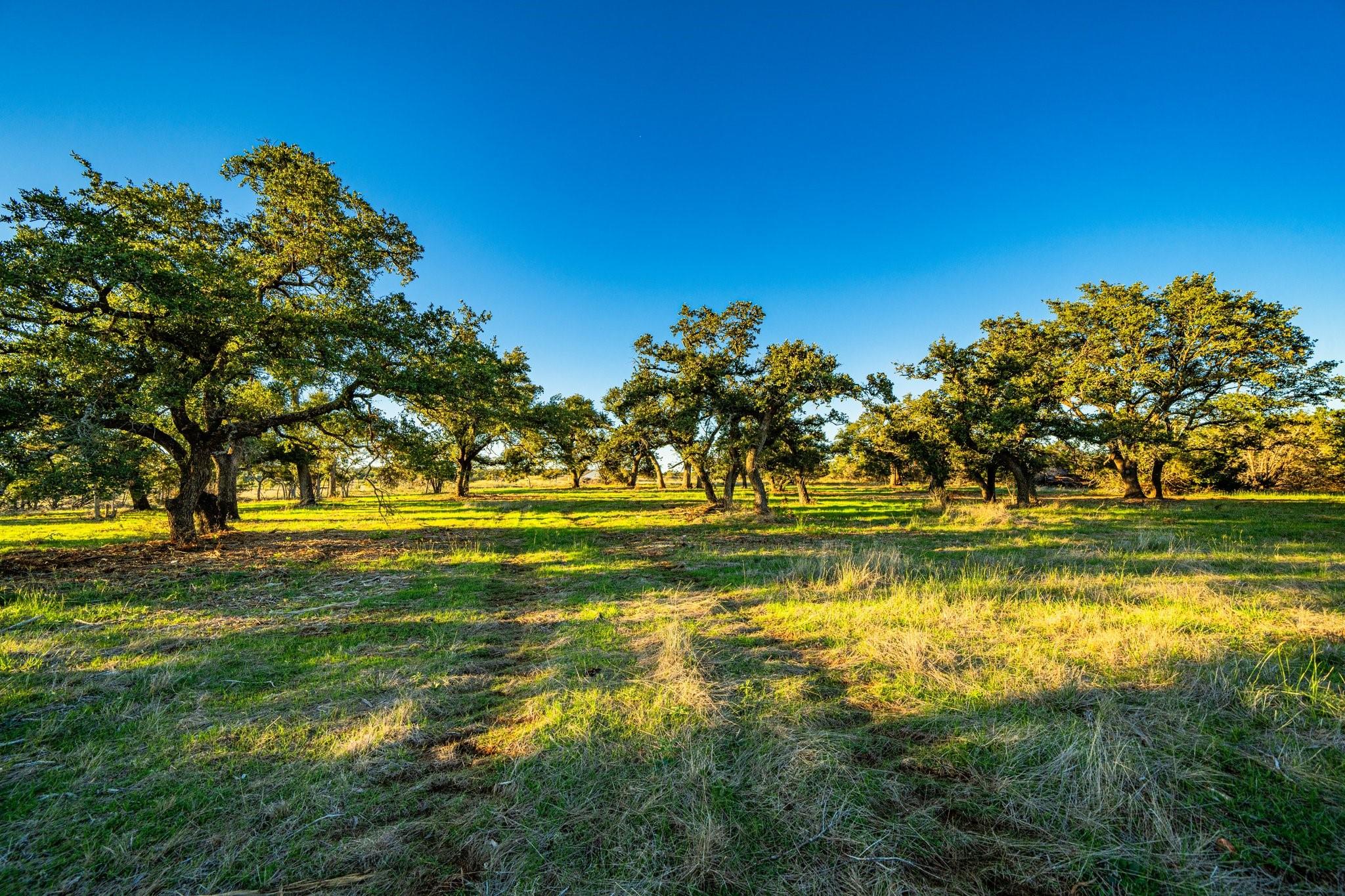 NA FM 2843, Salado, TX 76571