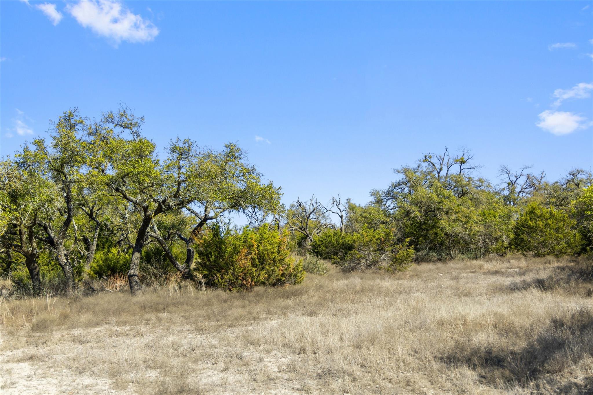 9069 Ranch Road 1323 Rd, Fredericksburg, TX 78624