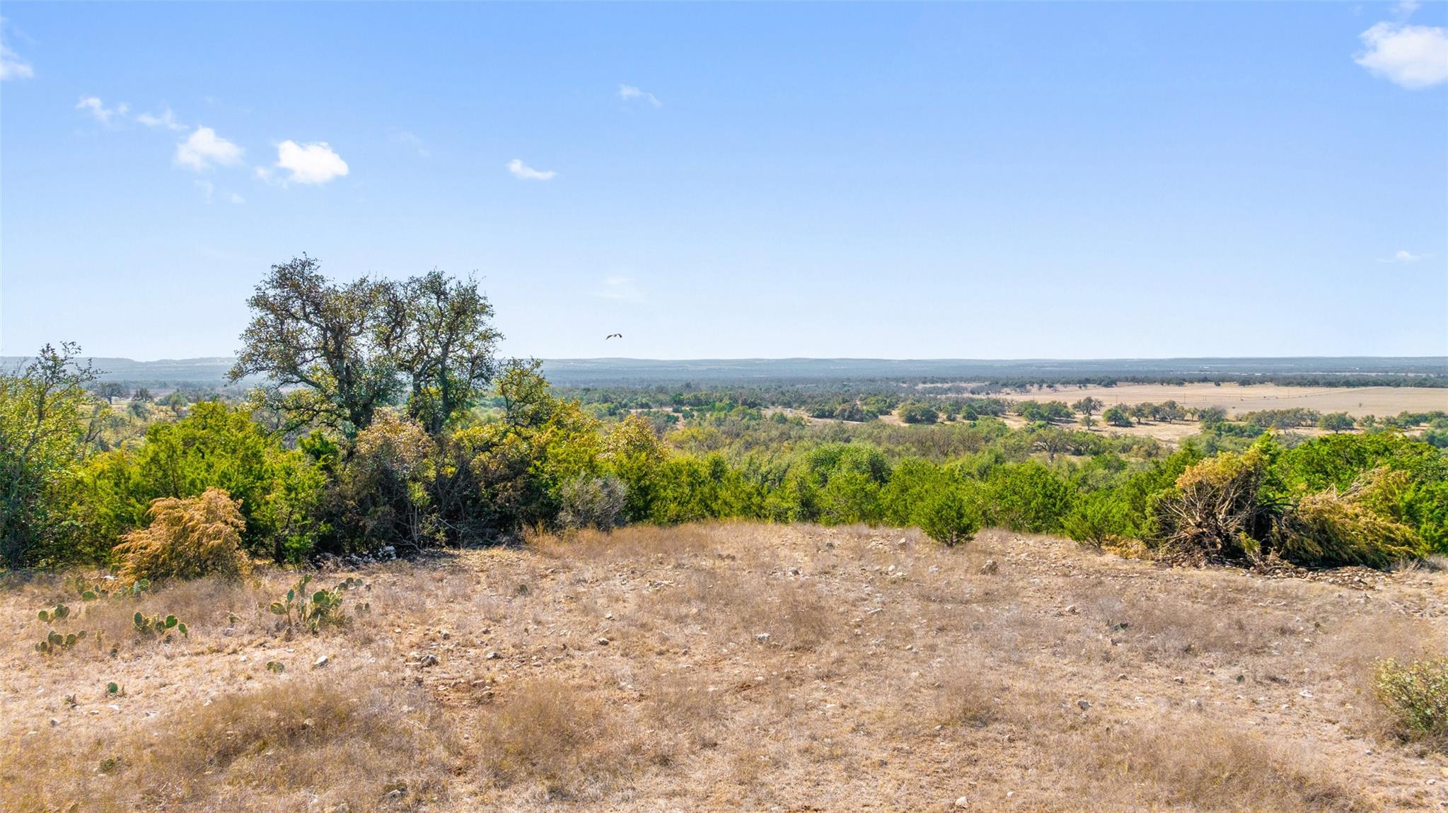 9069 Ranch Road 1323 Rd, Fredericksburg, TX 78624