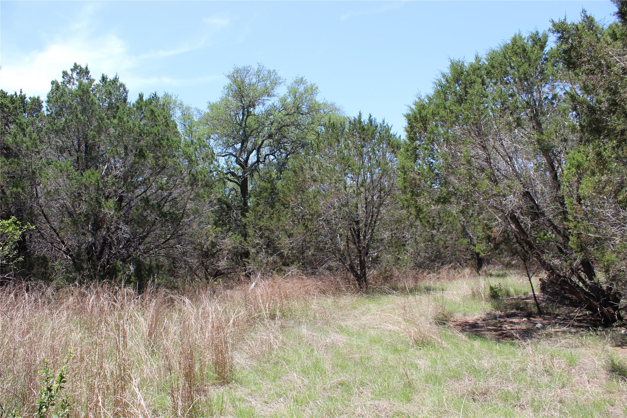 TBD Oak Run Dr, Wimberley, TX 78676