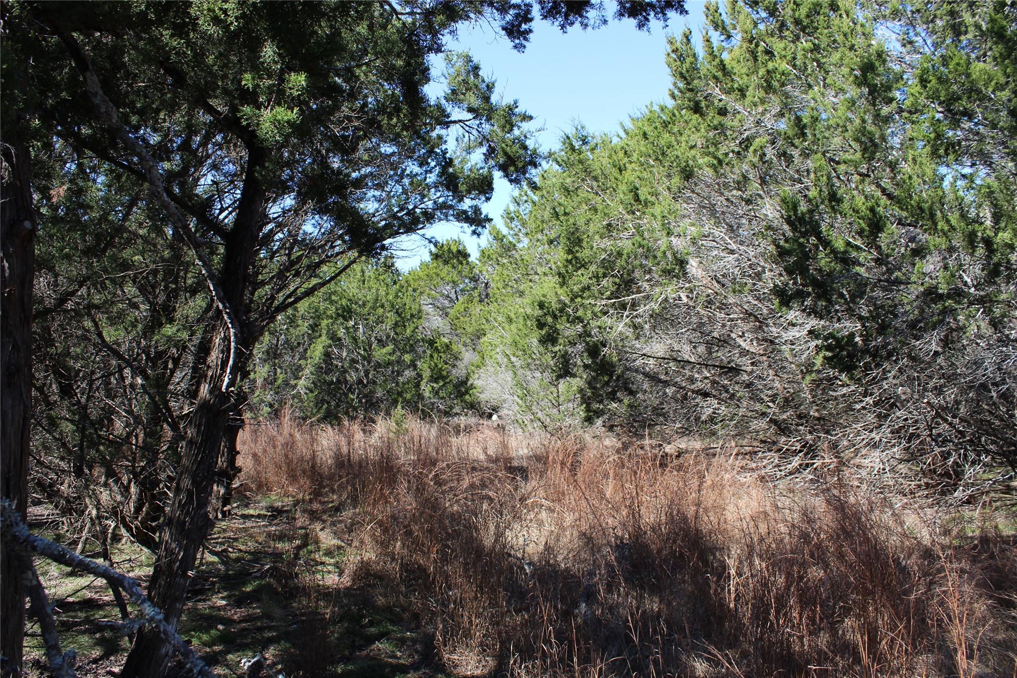 TBD Oak Run Dr, Wimberley, TX 78676