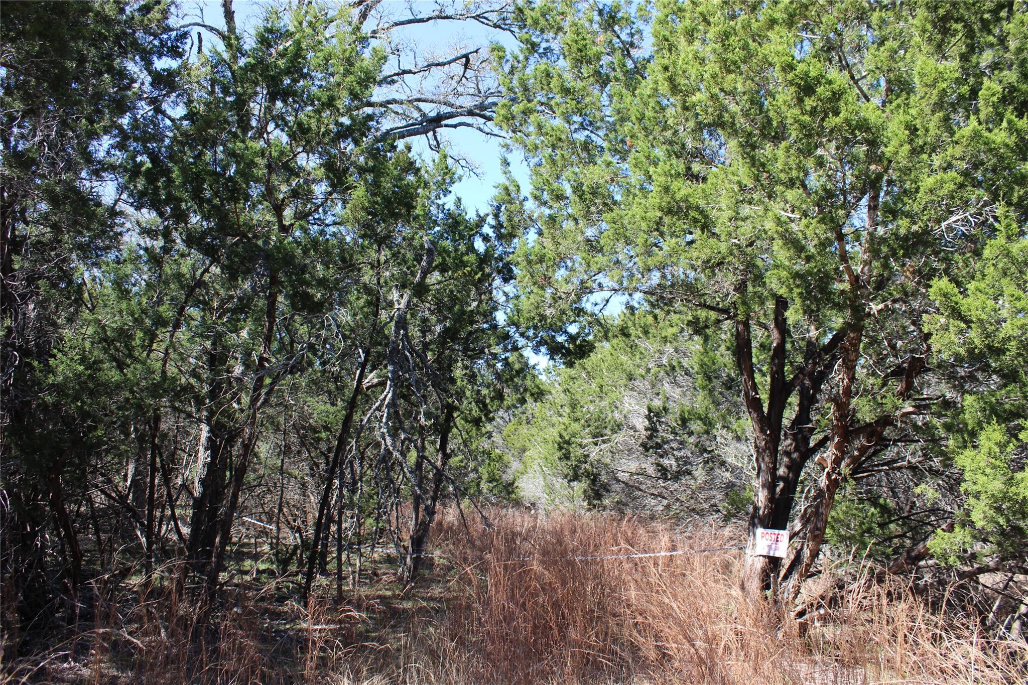 TBD Oak Run Dr, Wimberley, TX 78676