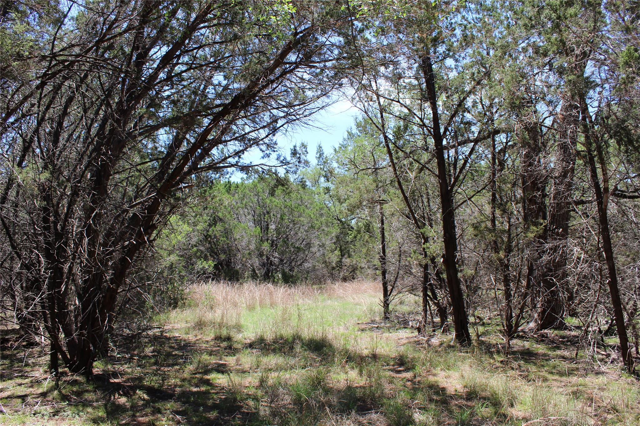 TBD Oak Run Dr, Wimberley, TX 78676