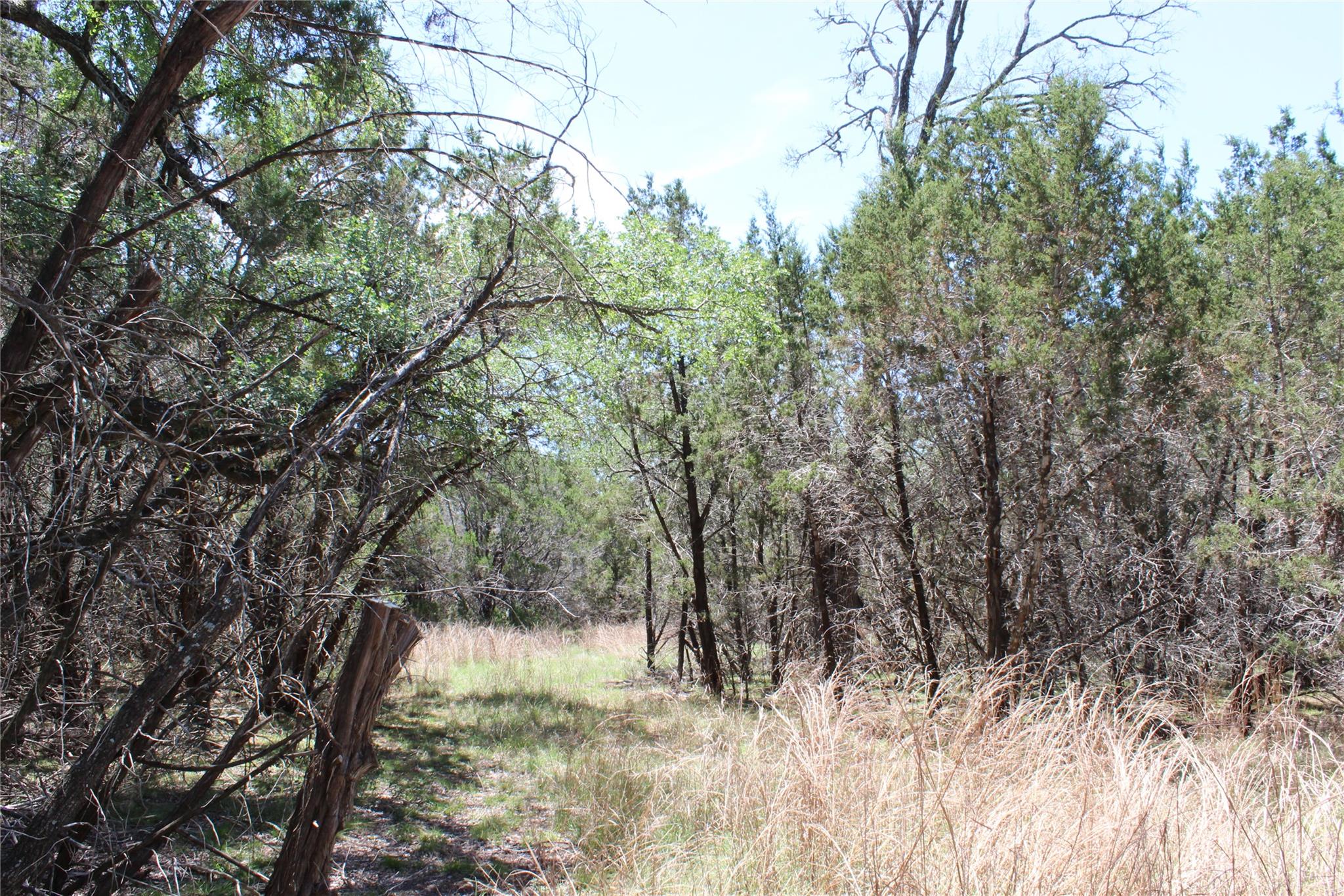 TBD Oak Run Dr, Wimberley, TX 78676