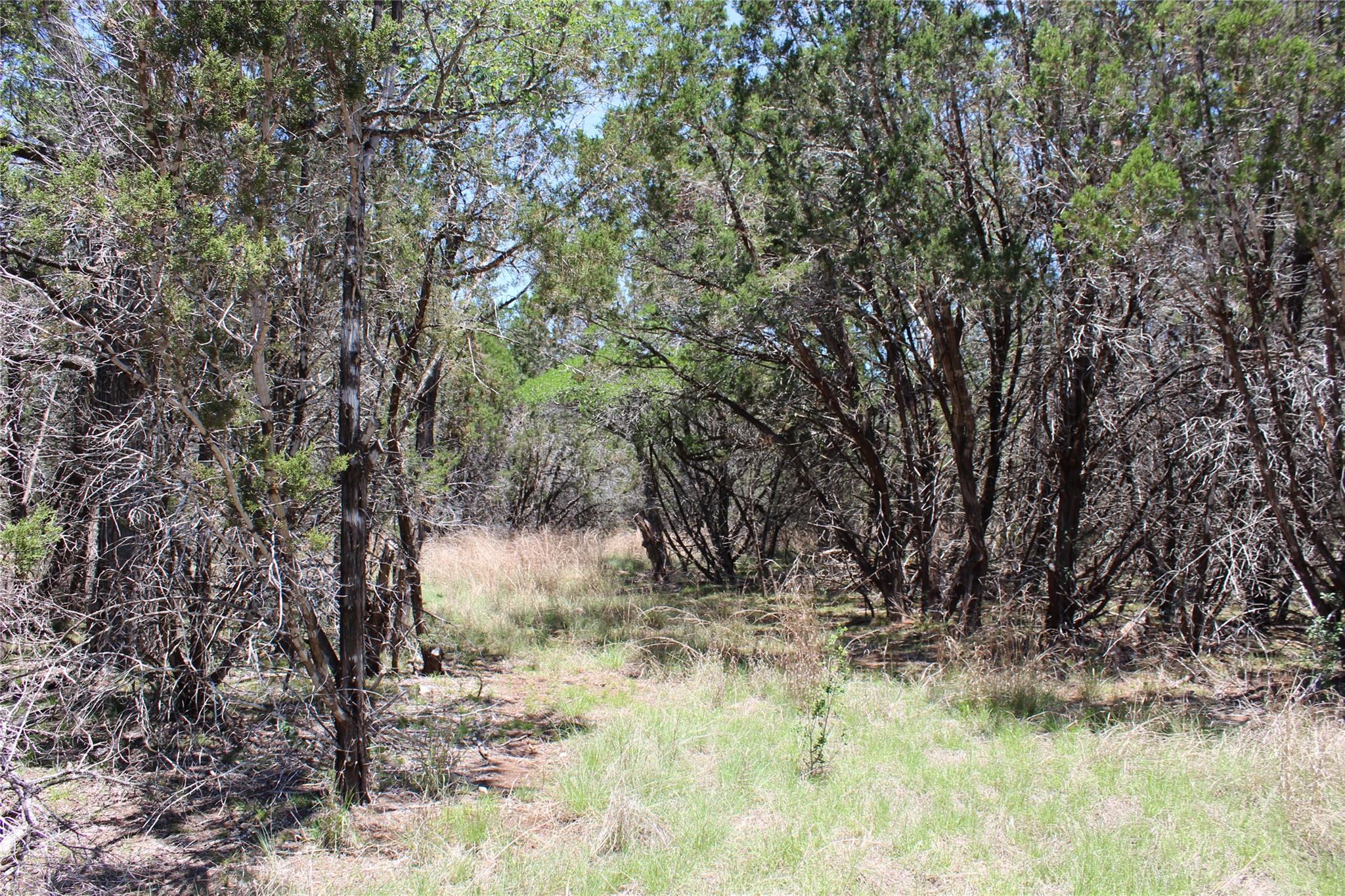 TBD Oak Run Dr, Wimberley, TX 78676