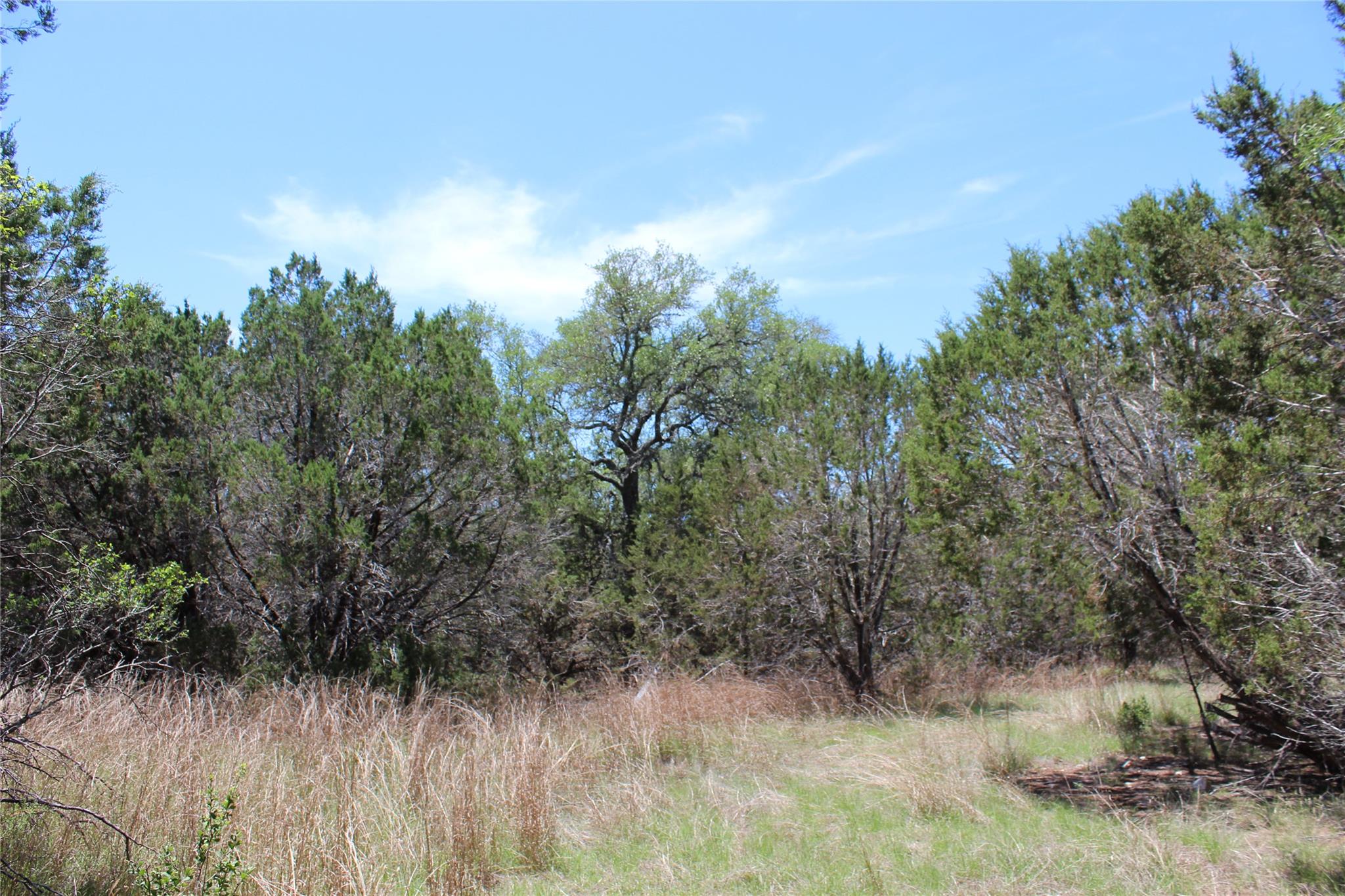 TBD Oak Run Dr, Wimberley, TX 78676