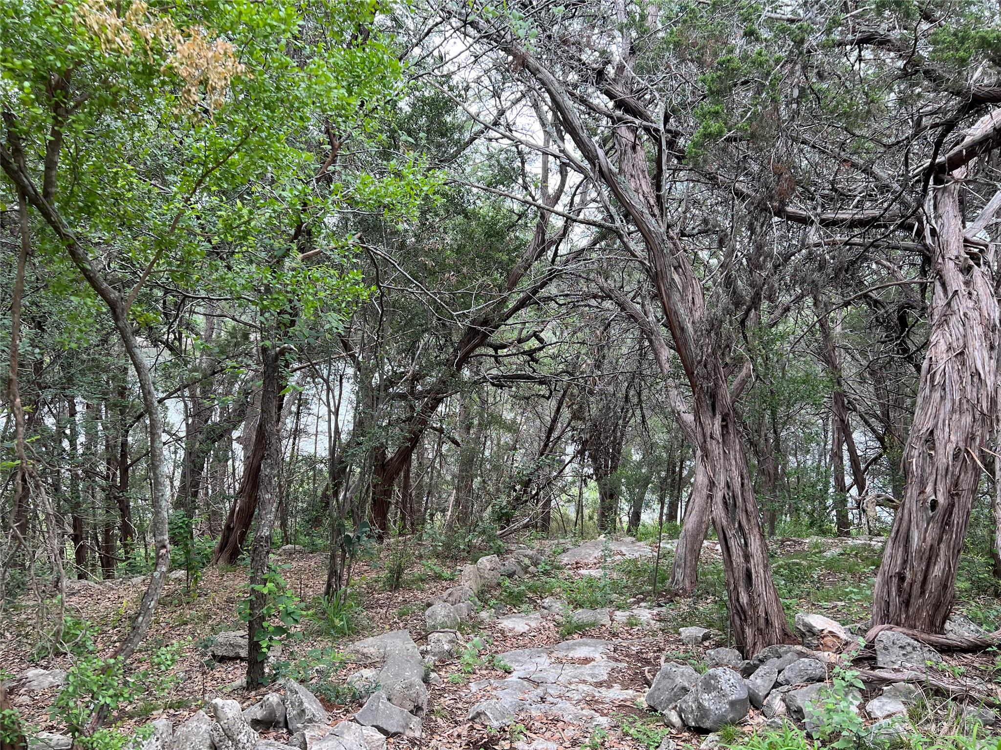 23601 Old Ferry Rd # 10, Spicewood, TX 78669