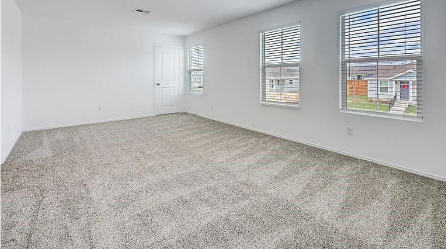 270 Northern Pintail, Kyle, TX 78640