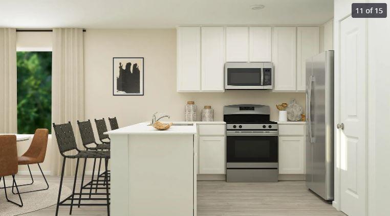 270 Northern Pintail, Kyle, TX 78640