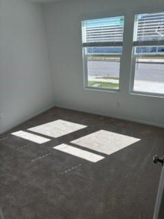 270 Northern Pintail, Kyle, TX 78640