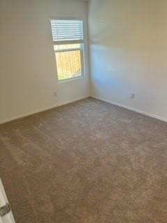 270 Northern Pintail, Kyle, TX 78640