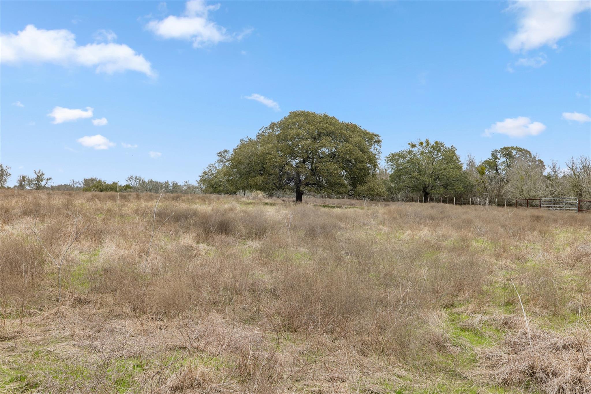364 Lee Rd # Tract 2, Bastrop, TX 78602