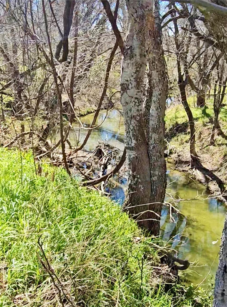 0 Bradshaw Rd, Austin, TX 78747