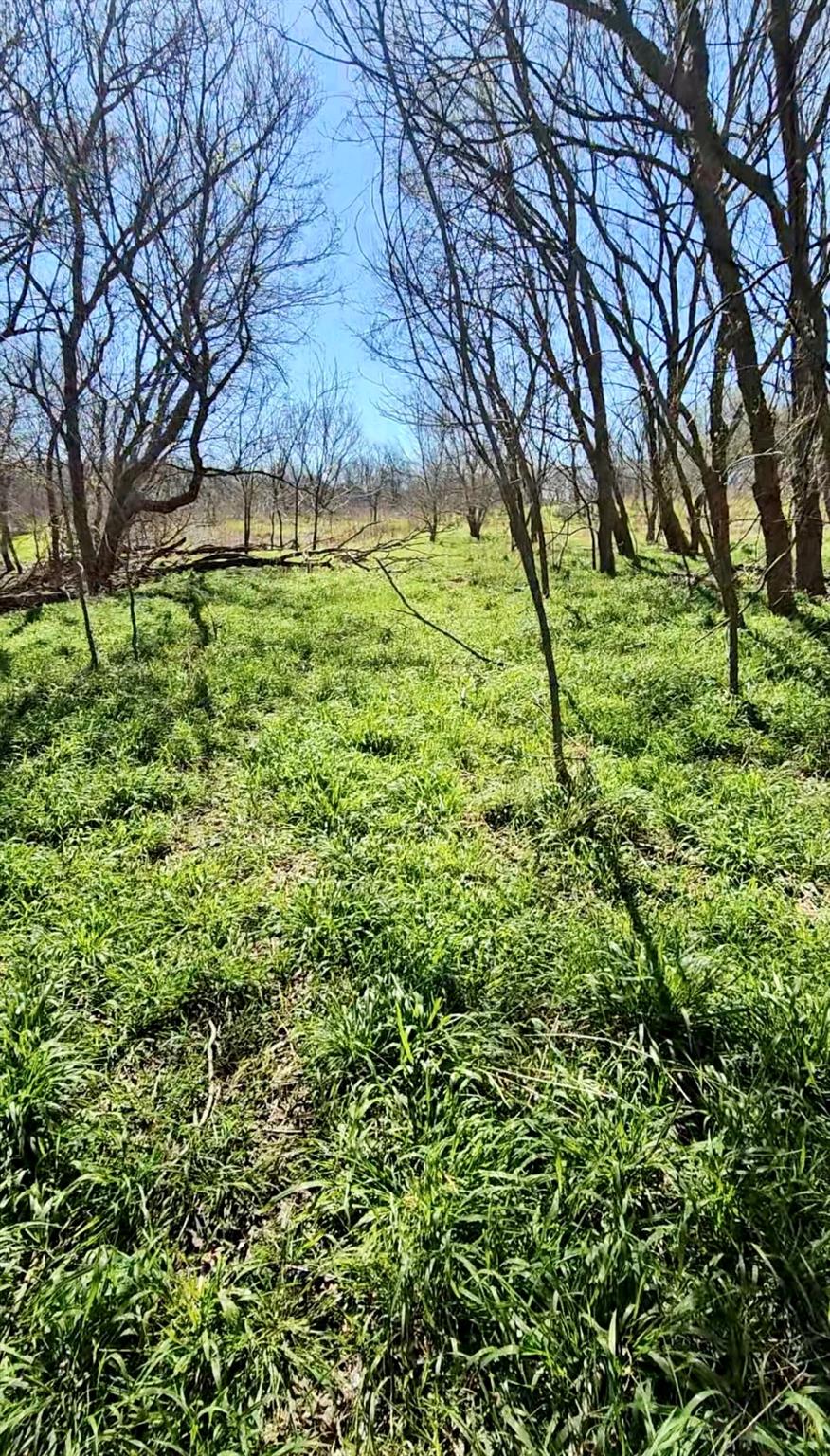 0 Bradshaw Rd, Austin, TX 78747