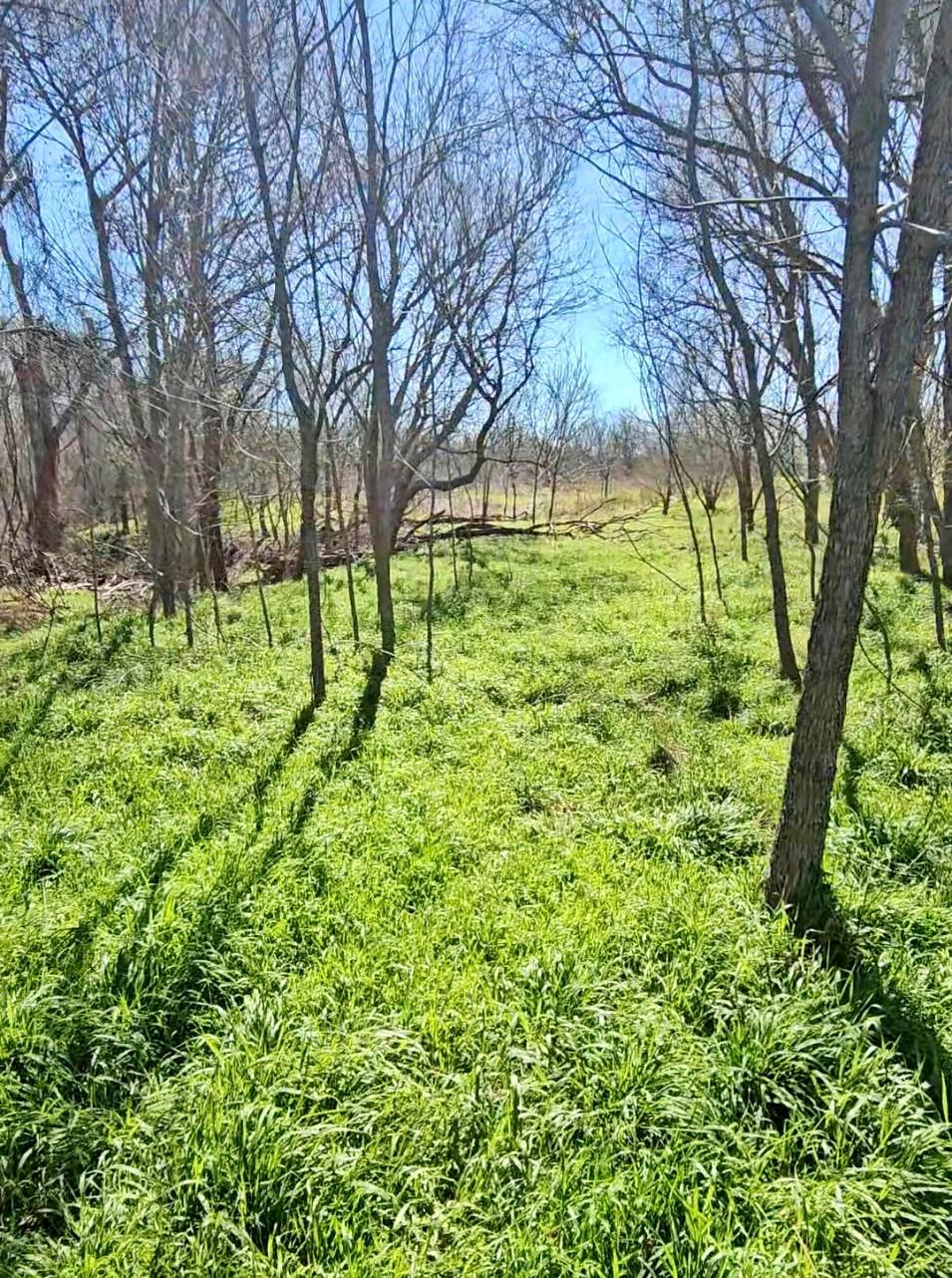 0 Bradshaw Rd, Austin, TX 78747