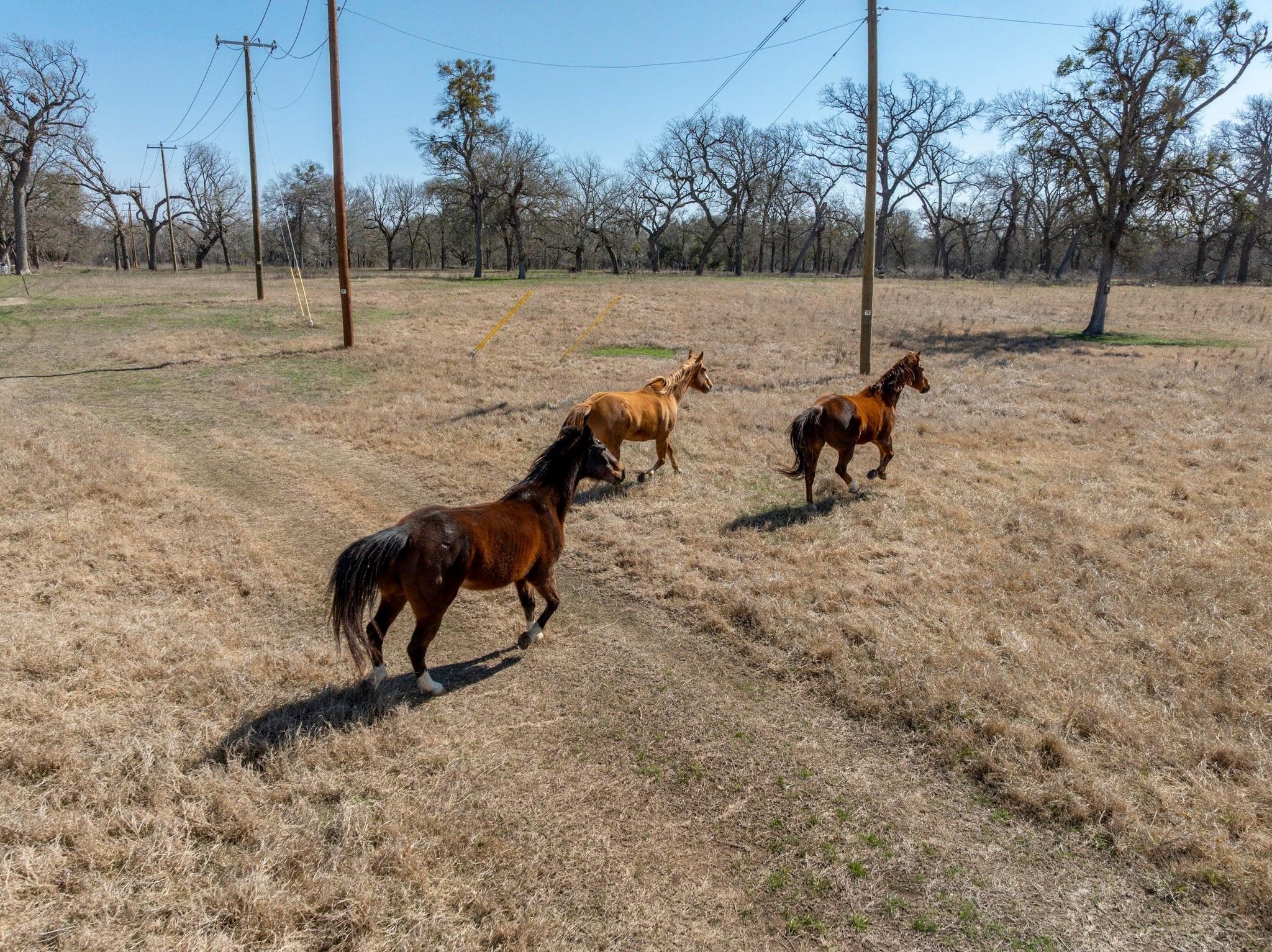 105 River Valley Dr, Georgetown, TX 78626