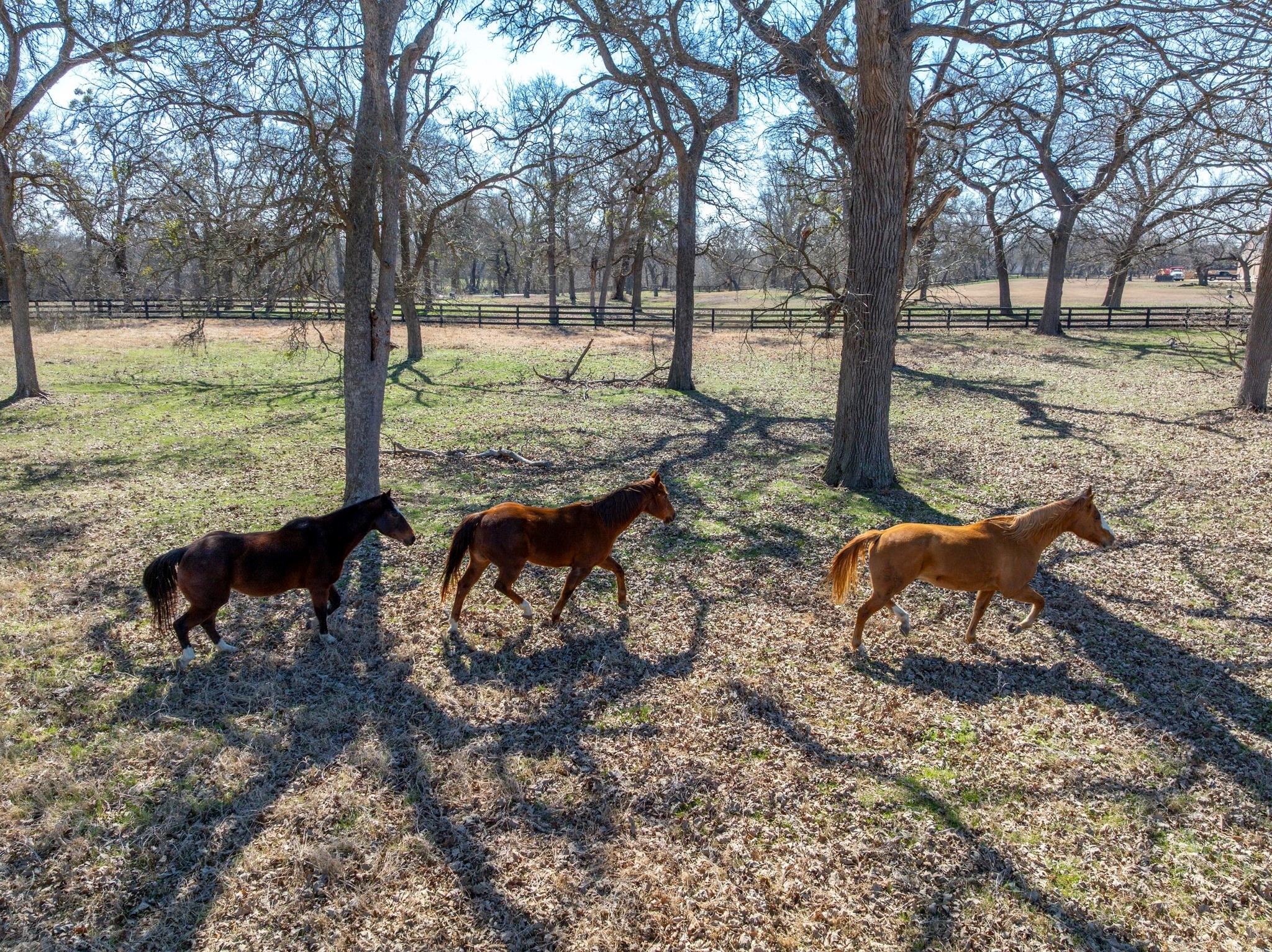 105 River Valley Dr, Georgetown, TX 78626