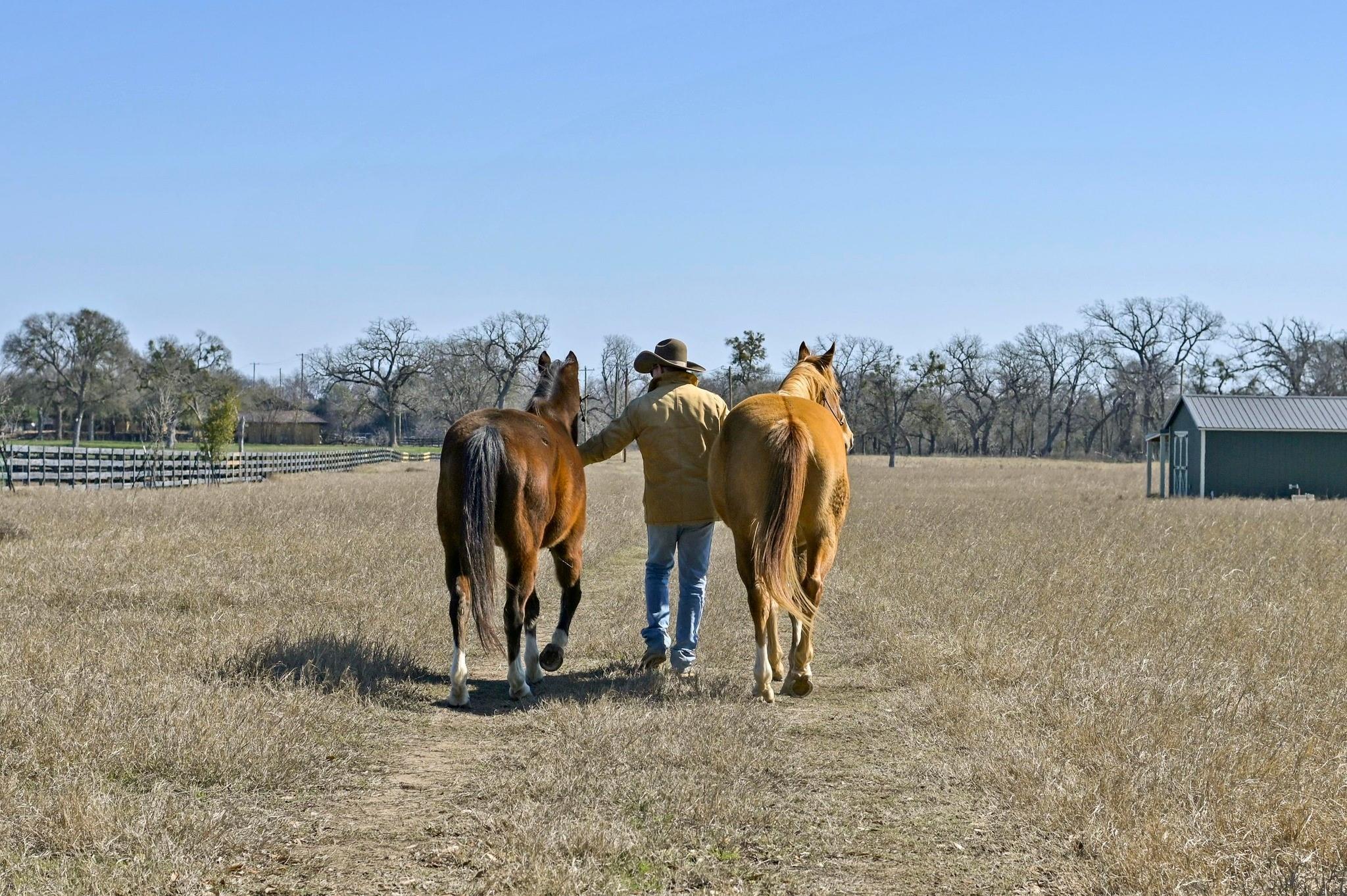 105 River Valley Dr, Georgetown, TX 78626