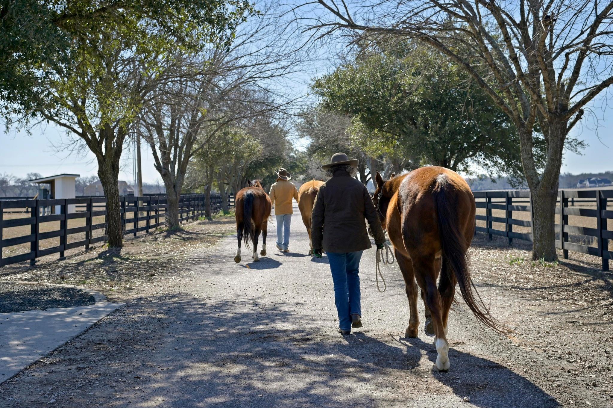 105 River Valley Dr, Georgetown, TX 78626