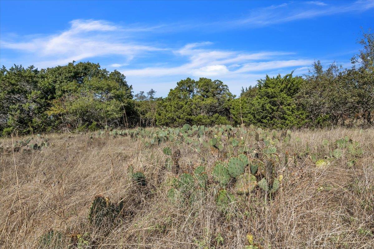 TBD 17.9 Acres Altwein Rd, Blanco, TX 78606