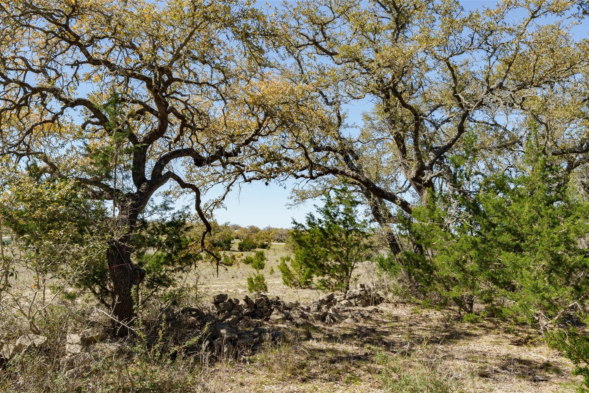 1440 Stone Ridge Mountain Dr, Round Mountain, TX 78663