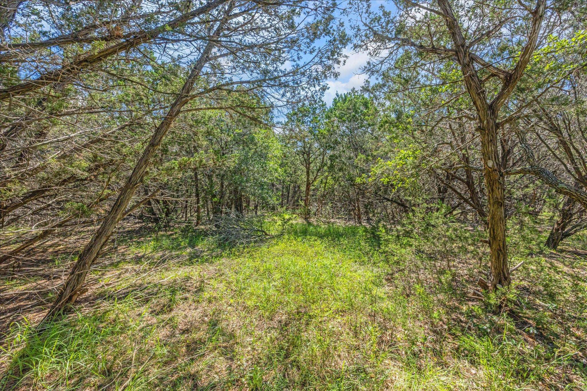 2453 S Rainbow Ranch Rd S, Wimberley, TX 78676
