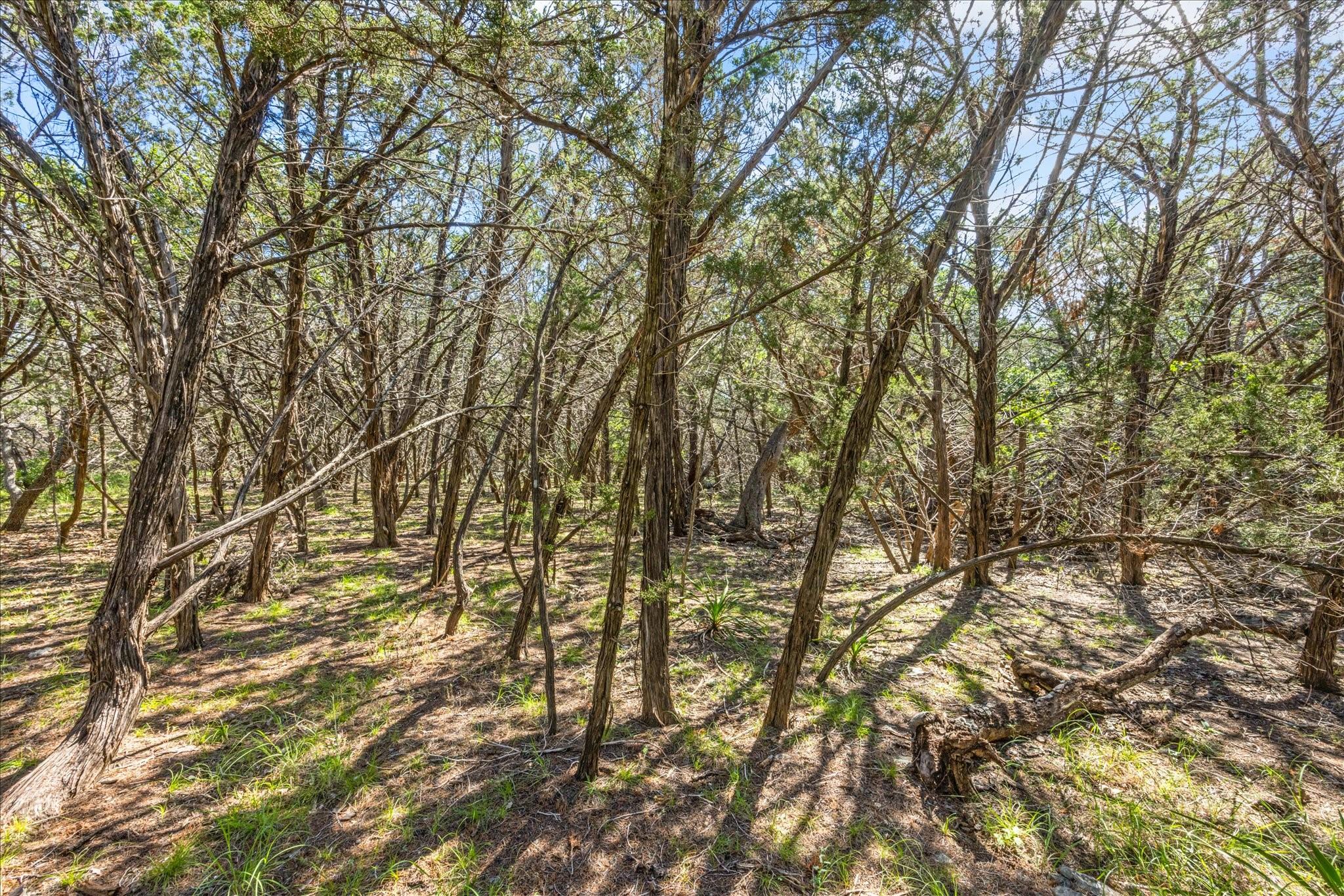 2453 S Rainbow Ranch Rd S, Wimberley, TX 78676