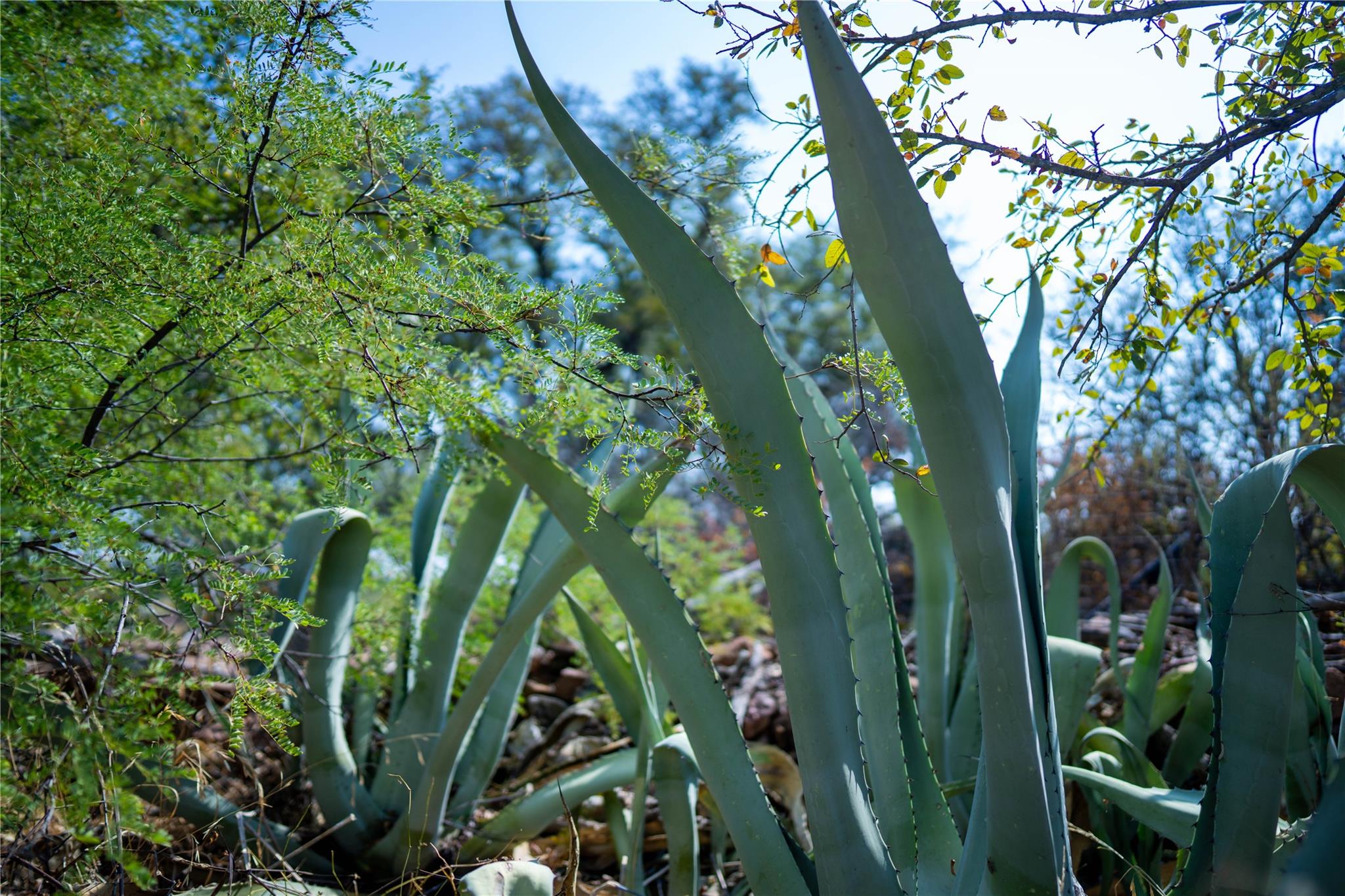 TBD W Ranch Road 152, Llano, TX 78643