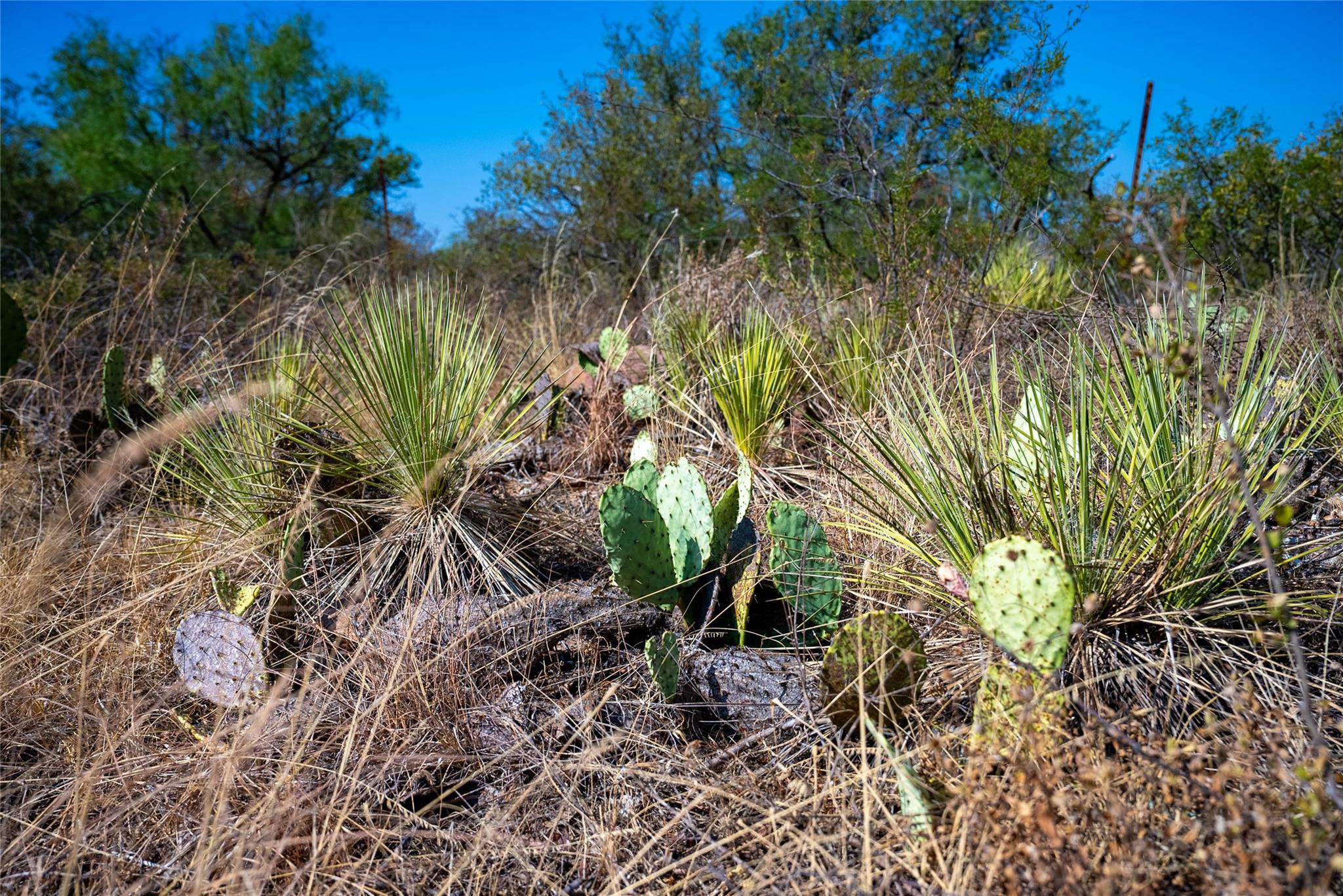 TBD W Ranch Road 152, Llano, TX 78643