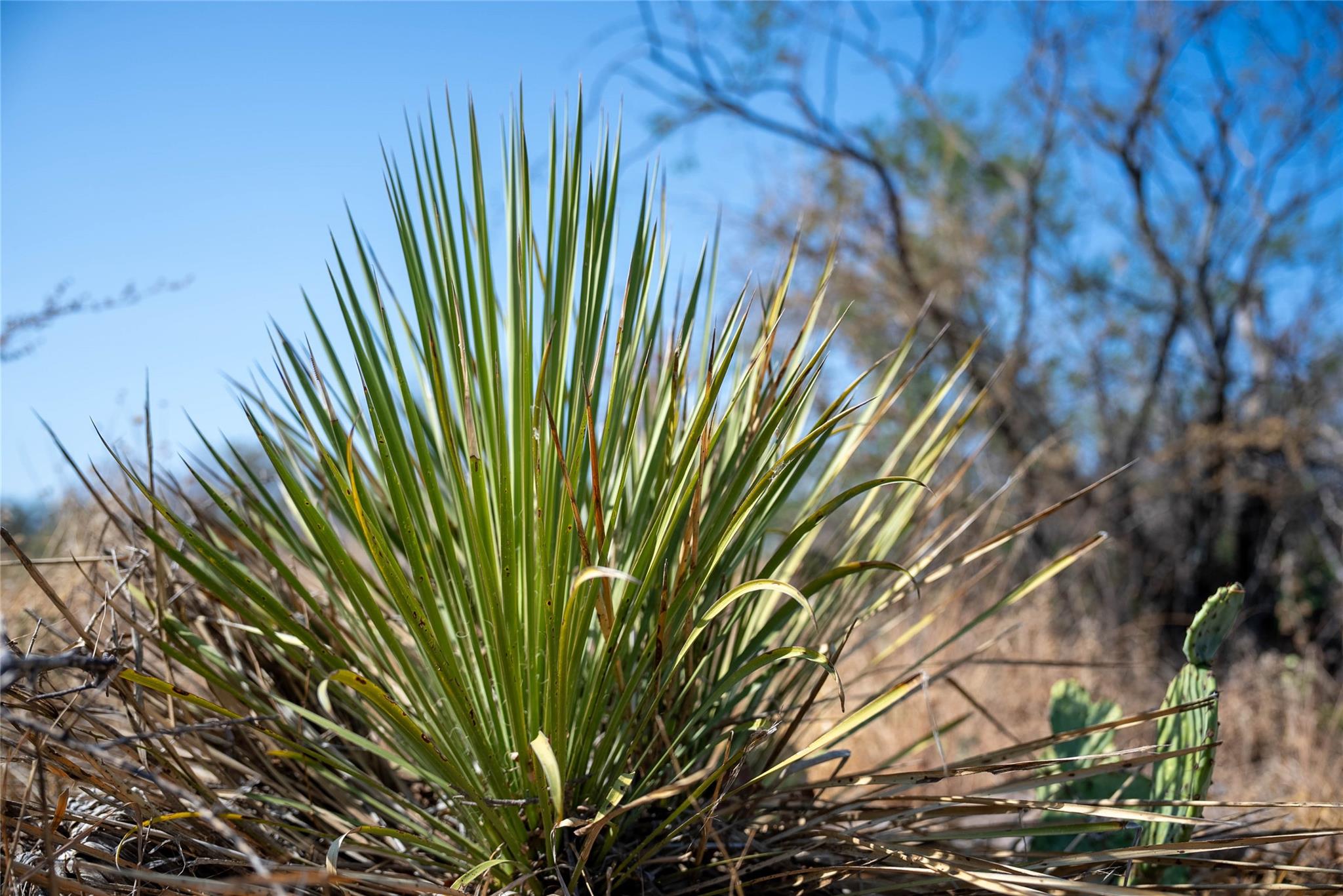 TBD W Ranch Road 152, Llano, TX 78643