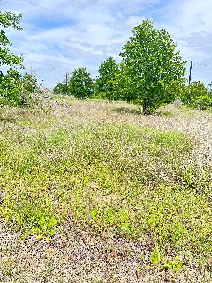 126 Wild Bird Loop, Smithville, TX 78957