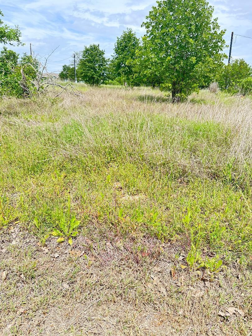 126 Wild Bird Loop, Smithville, TX 78957