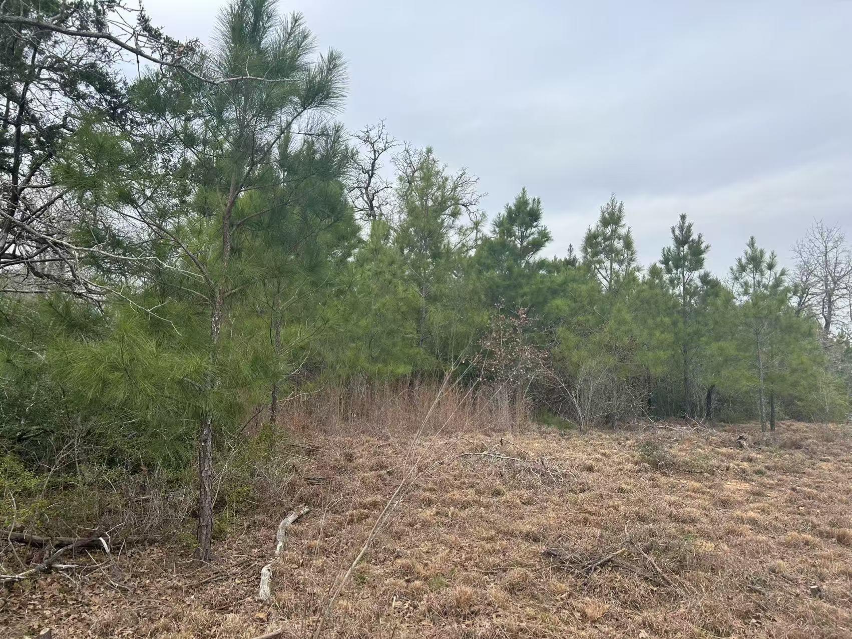 008 Agget Rd, Smithville, TX 78957