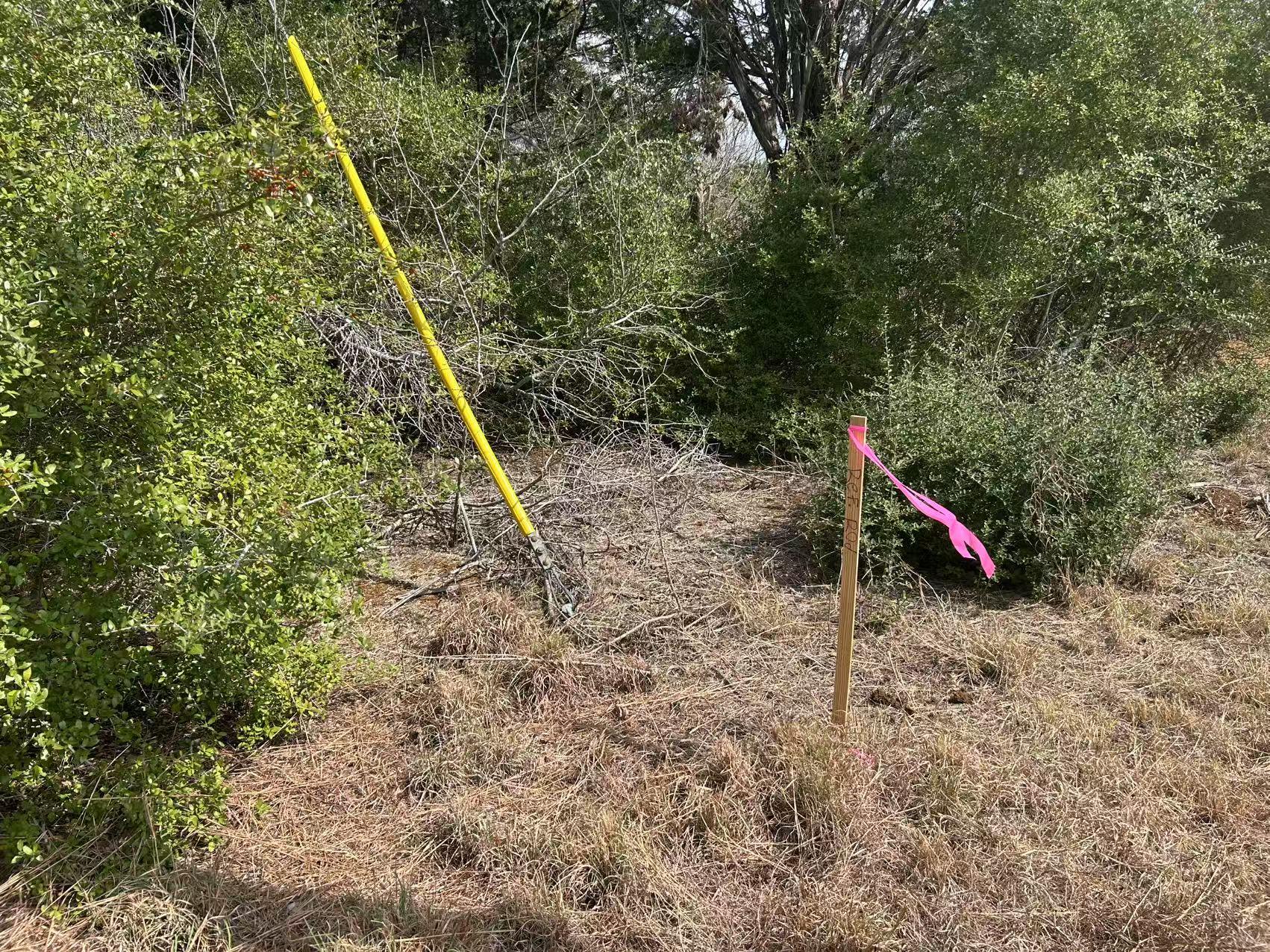 008 Agget Rd, Smithville, TX 78957