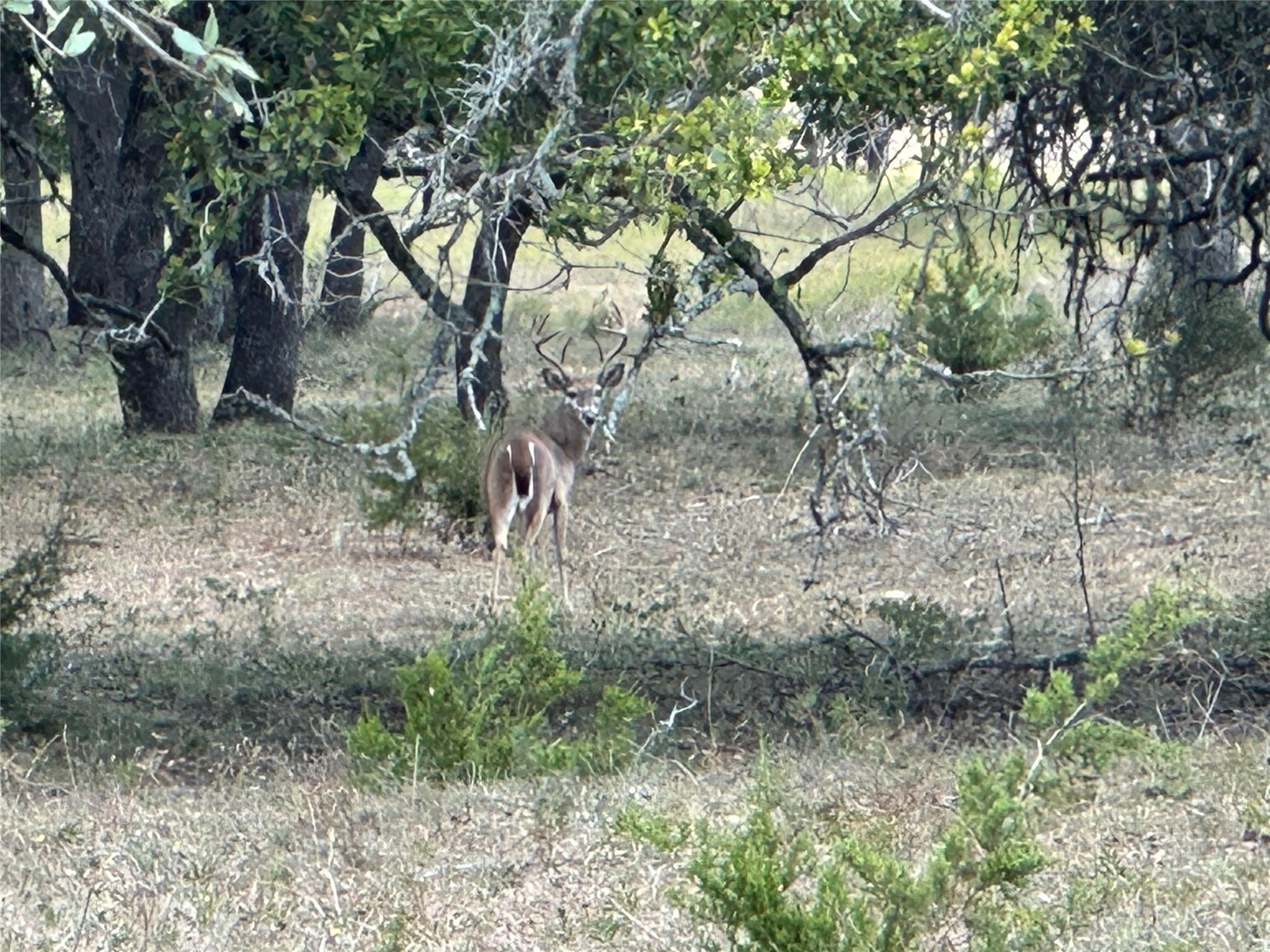 1058 Jacob Rd, Fredericksburg, TX 78624