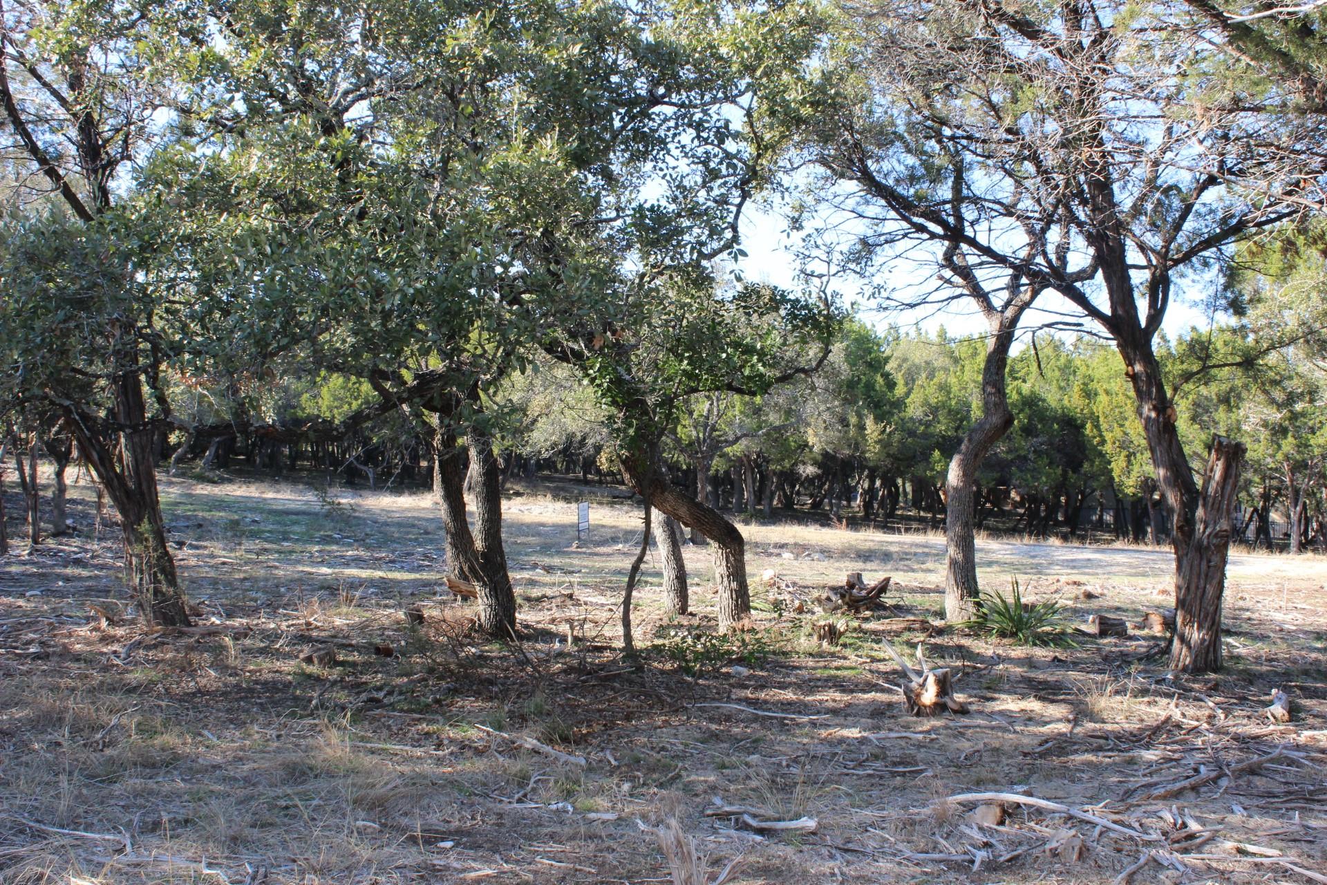 17507 Navigation Ln, Jonestown, TX 78645